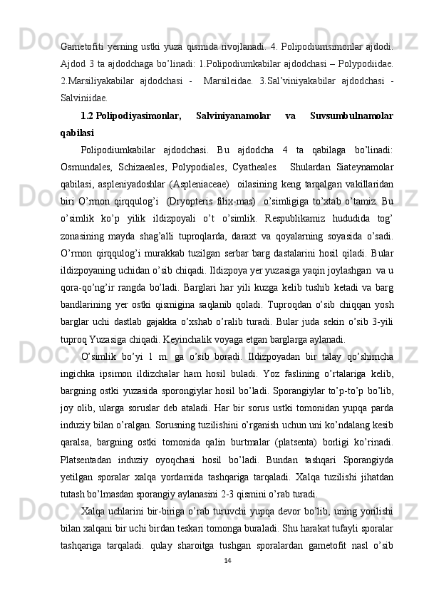 Gametofiti  yerning ustki  yuza qismida rivojlanadi. 4. Polipodiumsimonlar ajdodi.
Ajdod 3 ta ajdodchaga bo’linadi: 1.Polipodiumkabilar  ajdodchasi  – Polypodiidae.
2.Marsiliyakabilar   ajdodchasi   -     Marsileidae.   3.Sal’viniyakabilar   ajdodchasi   -
Salviniidae.
1.2 Polipodiyasimonlar,   Salviniyanamolar   va   Suvsumbulnamolar
qabilasi
Polipodiumkabilar   ajdodchasi.   Bu   ajdodcha   4   ta   qabilaga   bo’linadi:
Osmundales,   Schizaeales,   Polypodiales,   Cyatheales.     Shulardan   Siateynamolar
qabilasi,   aspleniyadoshlar   (Aspleniaceae)     oilasining   keng   tarqalgan   vakillaridan
biri   O’rmon   qirqqulog’i     (Dryopteris   filix-mas)     o’simligiga   to’xtab   o’tamiz.   Bu
o’simlik   ko’p   yilik   ildizpoyali   o’t   o’simlik.   Respublikamiz   hududida   tog’
zonasining   mayda   shag’alli   tuproqlarda,   daraxt   va   qoyalarning   soyasida   o’sadi.
O’rmon   qirqqulog’i   murakkab   tuzilgan   serbar   barg   dastalarini   hosil   qiladi.   Bular
ildizpoyaning uchidan o’sib chiqadi. Ildizpoya yer yuzasiga yaqin joylashgan  va u
qora-qo’ng’ir   rangda   bo’ladi.   Barglari   har   yili   kuzga   kelib   tushib   ketadi   va   barg
bandlarining   yer   ostki   qismigina   saqlanib   qoladi.   Tuproqdan   o’sib   chiqqan   yosh
barglar   uchi   dastlab   gajakka   o’xshab   o’ralib   turadi.   Bular   juda   sekin   o’sib   3-yili
tuproq Yuzasiga chiqadi. Keyinchalik voyaga etgan barglarga aylanadi.
O’simlik   bo’yi   1   m.   ga   o’sib   boradi.   Ildizpoyadan   bir   talay   qo’shimcha
ingichka   ipsimon   ildizchalar   ham   hosil   buladi.   Yoz   faslining   o’rtalariga   kelib,
bargning   ostki   yuzasida   sporongiylar   hosil   bo’ladi.   Sporangiylar   to’p-to’p   bo’lib,
joy   olib,   ularga   soruslar   deb   ataladi.   Har   bir   sorus   ustki   tomonidan   yupqa   parda
induziy bilan o’ralgan. Sorusning tuzilishini o’rganish uchun uni ko’ndalang kesib
qaralsa,   bargning   ostki   tomonida   qalin   burtmalar   (platsenta)   borligi   ko’rinadi.
Platsentadan   induziy   oyoqchasi   hosil   bo’ladi.   Bundan   tashqari   Sporangiyda
yetilgan   sporalar   xalqa   yordamida   tashqariga   tarqaladi.   Xalqa   tuzilishi   jihatdan
tutash bo’lmasdan sporangiy aylanasini 2-3 qismini o’rab turadi.
Xalqa   uchlarini   bir-biriga   o’rab   turuvchi   yupqa   devor   bo’lib,   uning  yorilishi
bilan xalqani bir uchi birdan teskari tomonga buraladi. Shu harakat tufayli sporalar
tashqariga   tarqaladi.   qulay   sharoitga   tushgan   sporalardan   gametofit   nasl   o’sib
14 