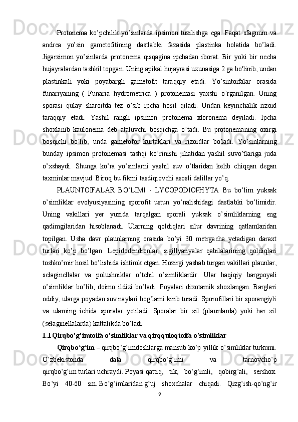 Protonema   ko’pchilik   yo’sinlarda   ipsimon   tuzilishga   ega.   Faqat   sfagnum   va
andrea   yo’sin   gametofitining   dastlabki   fazasida   plastinka   holatida   bo’ladi.
Jigarsimon   yo’sinlarda   protonema   qisqagina   ipchadan   iborat.   Bir   yoki   bir   necha
hujayralardan tashkil topgan. Uning apikal hujayrasi uzunasiga 2 ga bo'linib, undan
plastinkali   yoki   poyabargli   gametofit   taraqqiy   etadi.   Yo’sintoifalar   orasida
funariyaning   (   Funaria   hydrometrica   )   protonemasi   yaxshi   o’rganilgan.   Uning
sporasi   qulay   sharoitda   tez   o’sib   ipcha   hosil   qiladi.   Undan   keyinchalik   rizoid
taraqqiy   etadi.   Yashil   rangli   ipsimon   protonema   xloronema   deyiladi.   Ipcha
shoxlanib   kaulonema   deb   ataluvchi   bosqichga   o’tadi.   Bu   protonemaning   oxirgi
bosqichi   bo’lib,   unda   gametofor   kurtaklari   va   rizoidlar   bo'ladi.   Yo’sinlarning
bunday   ipsimon   protonemasi   tashqi   ko’rinishi   jihatidan   yashil   suvo’tlariga   juda
o’xshaydi.   Shunga   ko’ra   yo’sinlarni   yashil   suv   o’tlaridan   kelib   chiqqan   degan
taxminlar mavjud. Biroq bu fikrni tasdiqiovchi asosli dalillar yo’q.
PLAUNTOIFALAR   BO’LIMI   -   LYCOPODIOPHYTA   Bu   bo’lim   yuksak
o’simliklar   evolyusiyasining   sporofit   ustun   yo’nalishidagi   dastlabki   bo’limidir.
Uning   vakillari   yer   yuzida   tarqalgan   sporali   yuksak   o’simliklarning   eng
qadimgilaridan   hisoblanadi.   Ularning   qoldiqlari   silur   davrining   qatlamlaridan
topilgan.   Usha   davr   plaunlarning   orasida   bo’yi   30   metrgacha   yetadigan   daraxt
turlari   ko’p   bo’lgan.   Lepidodendronlar,   sigillyariyalar   qabilalarining   qoldiqlari
toshko’mir hosil bo’lishida ishtirok etgan. Hozirgi yashab turgan vakillari plaunlar,
selaginellalar   va   polushniklar   o’tchil   o’simliklardir.   Ular   haqiqiy   bargpoyali
o’simliklar   bo’lib,   doimo   ildizi   bo’ladi.   Poyalari   dixotamik   shoxlangan.   Barglari
oddiy, ularga poyadan suv naylari bog’lami kirib turadi. Sporofillari bir sporangiyli
va   ularning   ichida   sporalar   yetiladi.   Sporalar   bir   xil   (plaunlarda)   yoki   har   xil
(selaginellalarda) kattalikda bo’ladi.
1.1 Qirqbo’g’imtoifa o’simliklar va qirqquloqtoifa o’simliklar
Qirqbo g imʻ ʻ   –   qirqbo g imdoshlarga	ʻ ʻ   mansub   ko p yillik o simliklar	ʻ ʻ   turkumi.
O zbekistonda   dala   qirqbo g imi   va   tarnovcho p	
ʻ ʻ ʻ ʻ
qirqbo g im	
ʻ ʻ   turlari   uchraydi.   Poyasi   qattiq,   tik,   bo g imli,   qobirg ali,   sershox.	ʻ ʻ ʻ
Bo yi   40-60   sm.	
ʻ   Bo g imlaridan	ʻ ʻ   g uj   shoxchalar   chiqadi.   Qizg ish-qo ng ir	ʻ ʻ ʻ ʻ
9