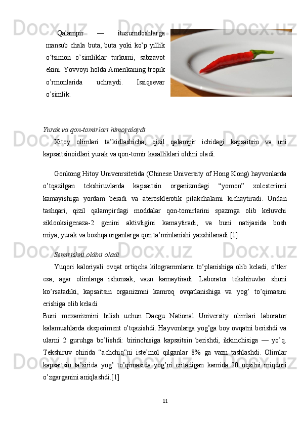 Qalampir   —   ituzumdoshlarga
mansub   chala   buta,   buta   yoki   ko’p   yillik
o tsimon   o’simliklar   turkumi,   sabzavotʻ
ekini. Yovvoyi holda Amerikaning tropik
o’rmonlarida   uchraydi.   Issiqsevar
o’simlik.
Yurak va qon-tomirlari himoyalaydi
Xitoy   olimlari   ta’kidlashicha,   qizil   qalampir   ichidagi   kapsaitsin   va   uni
kapsaitsinoidlari yurak va qon-tomir kasalliklari oldini oladi.
Gonkong Hitoy Univenrsitetida (Chinese University of Hong Kong) hayvonlarda
o’tqazilgan   tekshiruvlarda   kapsaitsin   organizmdagi   “yomon”   xolesterinni
kamayishiga   yordam   beradi   va   aterosklerotik   pilakchalarni   kichaytiradi.   Undan
tashqari,   qizil   qalampirdagi   moddalar   qon-tomirlarini   spazmga   olib   keluvchi
siklooksigenaza-2   genini   aktivligini   kamaytiradi,   va   buni   natijasida   bosh
miya,   yurak   va boshqa organlarga qon ta’minlanishi yaxshilanadi.[1]
Semirishni oldini oladi
Yuqori  kaloriyali  ovqat  ortiqcha kilogrammlarni to’planishiga olib keladi, o’tkir
esa,   agar   olimlarga   ishonsak,   vazn   kamaytiradi.   Laborator   tekshiruvlar   shuni
ko’rsatadiki,   kapsaitsin   organizmni   kamroq   ovqatlanishiga   va   yog’   to’qimasini
erishiga olib keladi.
Buni   mexanizmini   bilish   uchun   Daegu   National   University   olimlari   laborator
kalamushlarda eksperiment o’tqazishdi. Hayvonlarga yog’ga boy ovqatni berishdi va
ularni   2   guruhga   bo’lishdi:   birinchisiga   kapsaitsin   berishdi,   ikkinchisiga   —   yo’q.
Tekshiruv   ohirida   “achchiq”ni   iste’mol   qilganlar   8%   ga   vazn   tashlashdi.   Olimlar
kapsaitsin   ta’sirida   yog’   to’qimasida   yog’ni   eritadigan   kamida   20   oqsilni   miqdori
o’zgarganini aniqlashdi.[1]
11 