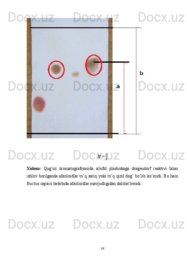 Rf = a
b
Xulosa:   Qog’oz   xromatografiyasida   silufol   plastinkaga   dragendorf   reaktivi   bilan
ishlov berilganda alkoloidlar to’q sariq yoki  to’q qizil dog’  bo’lib ko’rindi. Bu ham
fructus capsici tarkibida alkoloidlar mavjudligidan dalolat beradi.
19 