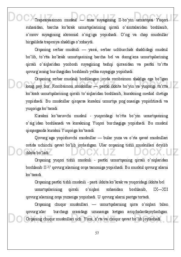 Trapesiyasimon   muskul   —   ensa   suyagining   II-bo’yin   umurtqasi   Yuqori
suhasidan,   barcha   ko’krak   umurtqalarining   qirrali   o’simtalaridan   boshlanib,
o’mrov   suyagining   akromial   o’sig`iga   yopishadi.   O’ng   va   chap   muskullar
birgalikda trapesiya shakliga o’xshaydi.
Orqaning   serbar   muskuli   —   yassi,   serbar   uchburchak   shaklidagi   muskul
bo’lib,   to’rtta   ko’krak   umurtqasining   barcha   bel   va   dumg`aza   umurtqalarining
qirrali   o’siqlaridan   yonbosh   suyagining   tashqi   qirrasidan   va   pastki   to’rtta
qovurg`aning burchagidan boshlanib yelka suyagiga yopishadi.
Orqaning   serbar   muskuli   boshlangan   joyda   rombsimon   shaklga   ega   bo’lgan
keng   pay   bor.   Rombsimon   muskullar   —   pastki   ikkita   bo’yin   va   yuqorigi   to’rtta
ko’krak   umurtqalarining   qirrali   to’siqlaridan   boshlanib,   kurakning   medial   chetiga
yopishadi.   Bu   muskullar   qisqarsa   kurakni   umurtqa   pog`onasiga   yopishtiradi   va
yuqoriga ko’taradi.
Kurakni   ko’taruvchi   muskul   -   yuqoridagi   to’rtta   bo’yin   umurtqasining
o’sig`idan   boshlanadi   va   kurakning   Yuqori   burchagiga   yopishadi.   Bu   muskul
qisqarganda kurakni Yuqoriga ko’taradi.
Qovurg`aga   yopishuvchi   muskullar   —   bular   yuza   va   o’rta   qavat   muskullari
ostida   uchinchi   qavat   bo’lib   joylashgan.   Ular   orqaning   tishli   muskullari   deyilib
ikkita bo’ladi.
Orqaning   yuqori   tishli   muskuli   -   pastki   umurtqaning   qirrali   o’siqlaridan
boshlanib II-V qovurg`alarning orqa tamoniga yopishadi. Bu muskul qovurg`alarni
ko’taradi.
Orqaning pastki tishli muskuli - pasti ikkita ko’krak va yuqoridagi ikkita bel 
umurtqalarining   qirrali   o’siqlari   sohasidan   boshlanib,   IX—XII
qovurg`alarning orqa yuzasiga yopishadi. U qovurg`alarni pastga tortadi. 
Orqaning   chuqur   muskullari   —   umurtqalarning   qirra   o’siqlari   bilan
qovurg`alar     burchagi   orasidagi   uzunasiga   ketgan   ariqchalardajoylashgan.
Orqaning chuqur muskullari uch: Yuza, o’rta va chuqur qavat bo’lib joylashadi.
57 