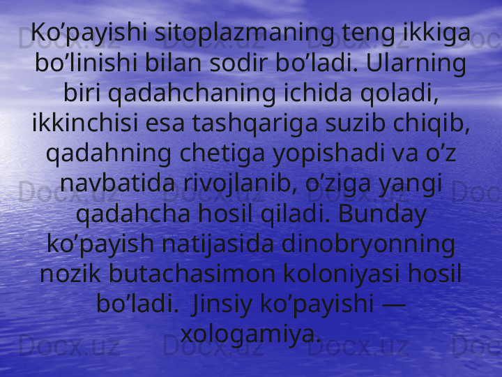 K o’ payishi sitoplazmaning teng ikkiga 
b o’ linishi bilan sodir b o’ ladi. Ularning 
biri  qa da h chaning ichida  q oladi, 
ikkinchisi esa tash q ariga suzib chi qib , 
q ad ah ning chetiga yopishadi va  o’ z 
navbatida rivojlanib,  o’ ziga yangi 
q ada h cha  h osil  q iladi. Bunday 
k o’ payish natijasida d i nobr y onning 
nozik butachasimon koloniyasi  ho sil 
b o’ ladi.  Jinsiy k o’ payishi — 
xologamiya. 