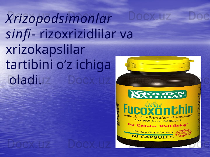 X rizopodsimonlar 
sinfi -  rizoxrizidlilar va 
xrizokapslilar 
tartibini o’z ichiga
 oladi. 