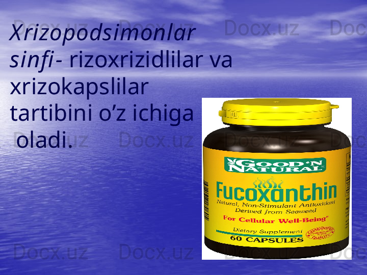 X rizopodsimonlar 
sinfi -  rizoxrizidlilar va 
xrizokapslilar 
tartibini o’z ichiga
 oladi.