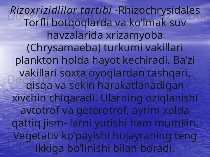 Rizoxrizidlilar t art ibi  - Rhizochrysidales
Torfli bot q o q larda va k o’ lmak suv 
h avzalarida xrizamyoba 
(Chrysamaeba) turkumi vakillari 
plankton  h olda  h ayot kechiradi. Ba’zi 
vakillari soxta oyo q lardan ta s h q ar i , 
qisq a va sek i n  h arakatlanadigan 
xivchin chi q aradi. Ularning ozi q lan i shi 
avtotrof va geterotrof, ayrim xolda 
q atti q  jism- larni yutishi  h am mumkin. 
Vegetativ k o’ payishi  h ujayraning teng 
i kkiga b o’ linishi bilan boradi. 