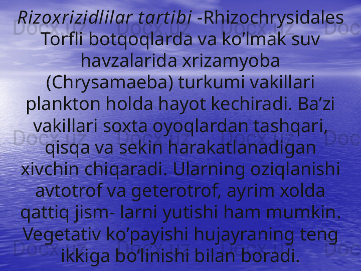 Rizoxrizidlilar t art ibi  - Rhizochrysidales
Torfli bot q o q larda va k o’ lmak suv 
h avzalarida xrizamyoba 
(Chrysamaeba) turkumi vakillari 
plankton  h olda  h ayot kechiradi. Ba’zi 
vakillari soxta oyo q lardan ta s h q ar i , 
qisq a va sek i n  h arakatlanadigan 
xivchin chi q aradi. Ularning ozi q lan i shi 
avtotrof va geterotrof, ayrim xolda 
q atti q  jism- larni yutishi  h am mumkin. 
Vegetativ k o’ payishi  h ujayraning teng 
i kkiga b o’ linishi bilan boradi.