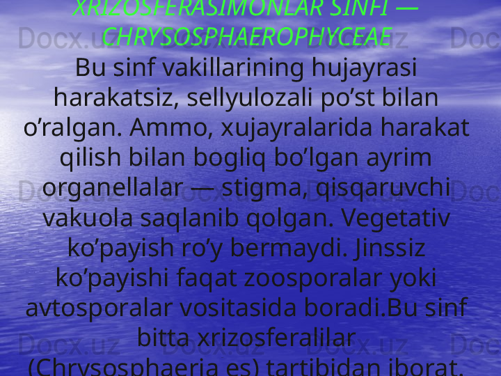 XRIZOSFERASIMONLAR SINFI —
CHRYSOSPHAEROPHYCEAE
Bu sinf vakillarining hujayrasi 
harakatsiz, sellyulozali po’st bilan 
o’ralgan. Ammo, xujayralarida harakat 
qilish bilan bogliq bo’lgan ayrim 
organellalar — stigma, qisqaruvchi 
vakuola saqlanib qolgan. Vegetativ 
ko’payish ro’y bermaydi. Jinssiz 
ko’payishi faqat zoosporalar yoki 
avtosporalar vositasida boradi.Bu sinf 
bitta xrizosferalilar 
(Chrysosphaeriales) tartibidan iborat. 