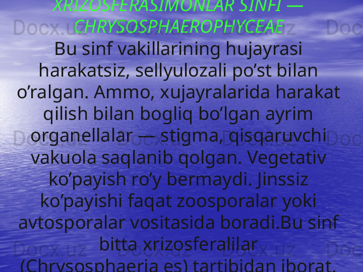 XRIZOSFERASIMONLAR SINFI —
CHRYSOSPHAEROPHYCEAE
Bu sinf vakillarining hujayrasi 
harakatsiz, sellyulozali po’st bilan 
o’ralgan. Ammo, xujayralarida harakat 
qilish bilan bogliq bo’lgan ayrim 
organellalar — stigma, qisqaruvchi 
vakuola saqlanib qolgan. Vegetativ 
ko’payish ro’y bermaydi. Jinssiz 
ko’payishi faqat zoosporalar yoki 
avtosporalar vositasida boradi.Bu sinf 
bitta xrizosferalilar 
(Chrysosphaeriales) tartibidan iborat.