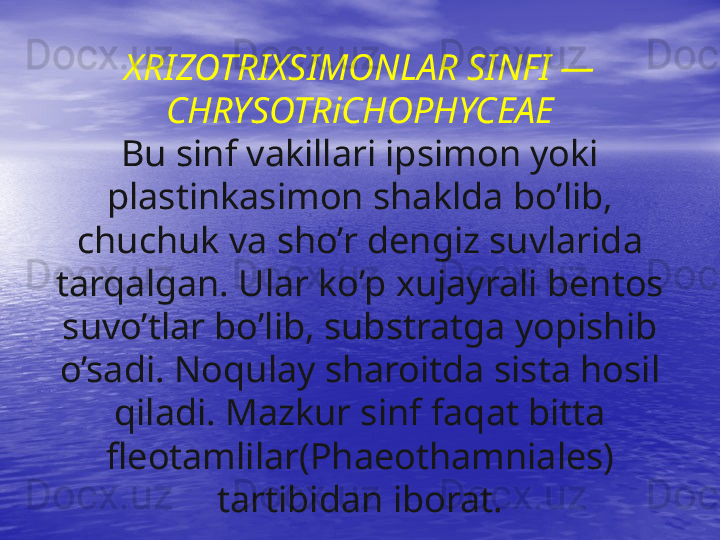 XRIZOTRIXSIMONLAR SINFI — 
CHRYSOTRiCHOPHYCEAE
Bu sinf vakillari ipsimon yoki
plastinkasimon shaklda bo’lib, 
chuchuk va sho’r dengiz suvlarida 
tarqalgan. Ular ko’p xujayrali bentos 
suvo’tlar bo’lib, substratga yopishib 
o’sadi. Noqulay sharoitda sista hosil 
qiladi. Mazkur sinf faqat bitta 
fleotamlilar(Phaeothamniales) 
tartibidan iborat. 