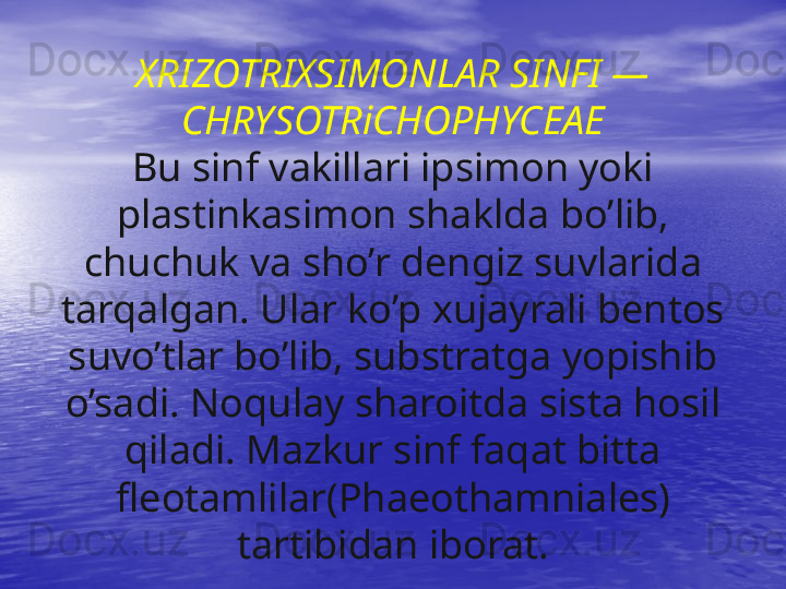 XRIZOTRIXSIMONLAR SINFI — 
CHRYSOTRiCHOPHYCEAE
Bu sinf vakillari ipsimon yoki
plastinkasimon shaklda bo’lib, 
chuchuk va sho’r dengiz suvlarida 
tarqalgan. Ular ko’p xujayrali bentos 
suvo’tlar bo’lib, substratga yopishib 
o’sadi. Noqulay sharoitda sista hosil 
qiladi. Mazkur sinf faqat bitta 
fleotamlilar(Phaeothamniales) 
tartibidan iborat.
