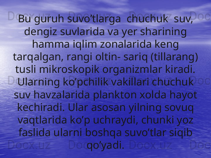 Bu guru h  suv o’ tlarga    chuchuk    suv, 
dengiz suvlarida va  y er shar i ning 
h amma  iq lim zonalarida keng 
tar q algan, rangi oltin- sari q  (tillarang) 
tusli mikroskopik organizmlar kiradi. 
Ularning k o’ pchilik vakillari chuchuk 
suv  h avzalarida plank ton xolda  h ayot 
kechiradi. Ular asosan  y ilning sovu q  
va q tlarida k o’ p uchraydi, chunki yoz 
faslida ular n i bosh q a suv	
  o’ tlar si q ib 
qo’ yadi. 