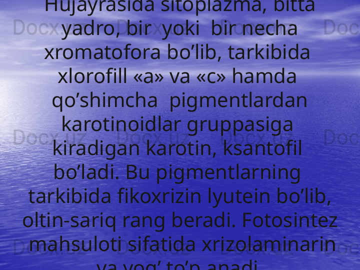 H ujayrasida sitoplazma, bitta 
yadro, bir    yoki    bir necha 
xromatofora b o’ lib, tarkibida    
xlorofill «a» va « c »  h amda    
qo’ shimcha    pigmentlardan 
karotinoidlar gruppasiga   
kiradiga n  karotin, ksantofil   
b o’ ladi. Bu pigmentlarning   
tarkibida fikoxrizin lyutein b o’ lib, 
oltin-sari q  rang beradi. Fotosintez 
  ma hsu loti sifatida xrizolaminarin 
va yo g’  t o’ planadi. 