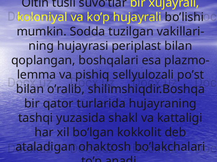 Oltin tusli suv o’ tlar  bir xujayrali, 
kolon iy al va k o’ p  h ujayrali  b o’ lishi 
mumkin. Sodda tuzilgan   vakillar i-
ning  hu jayrasi periplast bilan 
q oplangan, bosh q alari esa plazmo- 
lemma va pishi q  sellyulozali p o’ st 
bilan  o’ ralib, shilimshi q dir.Bosh q a 
bir  q ator turlarida  h ujayraning 
tash q i yuzasida shakl va kattaligi 
h ar xil b o’ lgan kokkolit deb 
ataladigan o h aktosh  bo’lakchalari 
to’planadi.