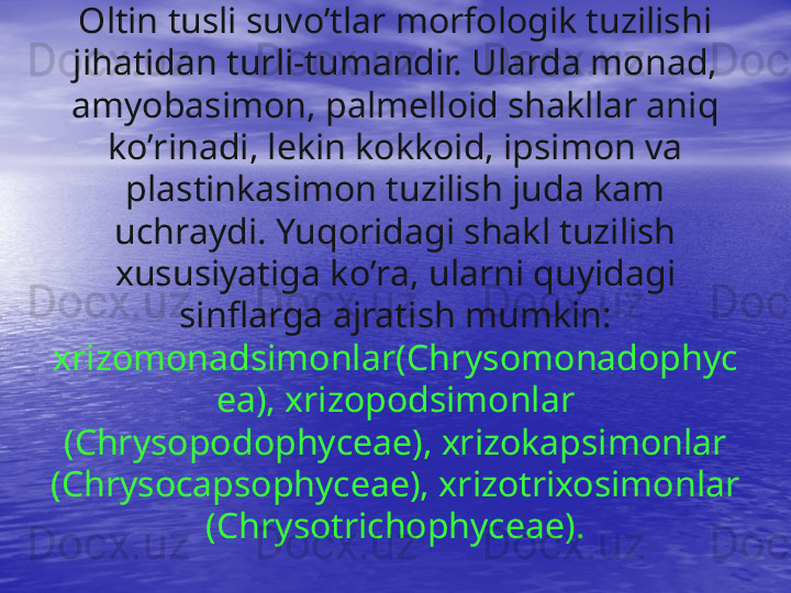 Oltin tusli suv o’ tlar morfologik tuzilishi 
ji h atidan turli-tumandir. Ularda monad, 
amyobasimon, palmelloid shakllar ani q  
k o’ rinadi, lekin kokkoid, ipsimon va 
plastinkasimon tuzilish juda kam 
uchraydi. Yu q oridagi shakl tuzilish 
xususiyatiga k o’ ra, ularni  q uyidagi 
sinflarga ajrat i sh mumki n:
xrizomonadsimonlar( Ch rysomonadophyc
ea), xrizopodsimonlar 
(Chrysopodophyceae), xrizokapsimonlar 
( Ch rysocapsophyceae), xrizotrixosimonlar 
(Chrysotrichophyceae).
  