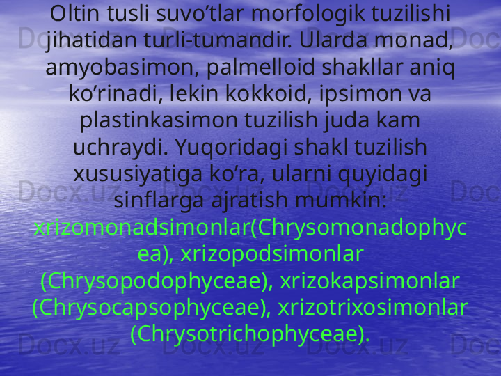 Oltin tusli suv o’ tlar morfologik tuzilishi 
ji h atidan turli-tumandir. Ularda monad, 
amyobasimon, palmelloid shakllar ani q  
k o’ rinadi, lekin kokkoid, ipsimon va 
plastinkasimon tuzilish juda kam 
uchraydi. Yu q oridagi shakl tuzilish 
xususiyatiga k o’ ra, ularni  q uyidagi 
sinflarga ajrat i sh mumki n:
xrizomonadsimonlar( Ch rysomonadophyc
ea), xrizopodsimonlar 
(Chrysopodophyceae), xrizokapsimonlar 
( Ch rysocapsophyceae), xrizotrixosimonlar 
(Chrysotrichophyceae).