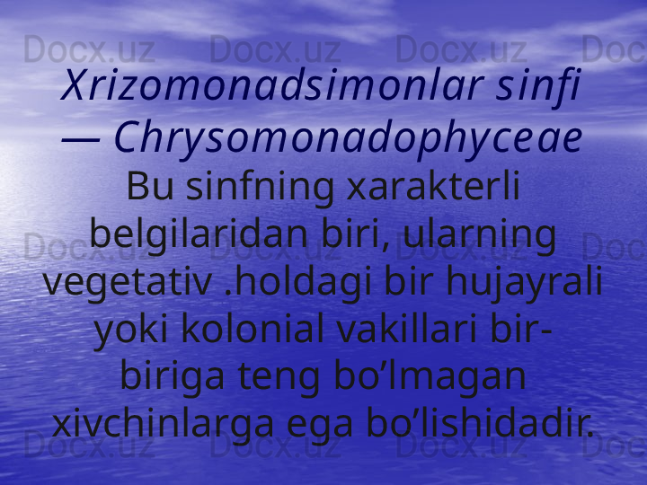 X rizomonadsimonlar s i nfi  
— Chry somonadophy ce ae
Bu sinfning xarakterli 
belgilaridan biri, ularning 
vege tativ . h oldagi bir  h ujayrali 
yoki kolonial vakillari bir- 
biriga teng b o’ lmagan 
xivchinlarga ega b o’ lishidadir. 