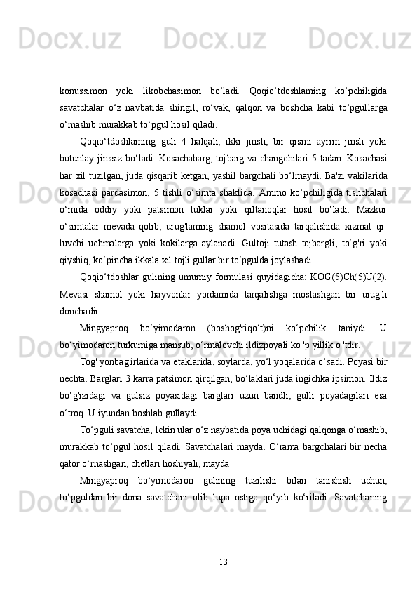 konussimon   yoki   likobcha simon   bo‘ladi.   Qoqio‘tdoshlaming   ko‘pchiligida
savatchalar   o‘z   navbatida   shingil,   ro‘vak,   qalqon   va   boshcha   kabi   to‘pgul larga
o‘mashib murakkab to‘pgul hosil qiladi.
Qoqio‘tdoshlaming   guli   4   halqali,   ikki   jinsli,   bir   qismi   ayrim   jinsli   yoki
butunlay jinssiz bo‘ladi. Kosachabarg, toj barg va changchilari 5 tadan. Kosachasi
har xil tuzilgan, juda qisqarib ketgan, yashil bargchali bo‘lmaydi. Ba'zi v а kil а ri da
kosachasi   pardasimon,   5   tishli   o‘simta   shaklida.   А mm о   ko‘pchiligida   tishchalari
o‘rnida   oddiy   yoki   patsimon   tuklar   yoki   qiltanoqlar   hosil   bo‘ladi.   Mazkur
o‘simtalar   mevada   qolib,   urug'laming   shamol   vositasida   tarqalishida   xizmat   qi -
luvchi   uchmalarga   yoki   k о kil а rg а   aylanadi.   Gultoji   tutash   tojbargli,   to‘g'ri   уо ki
qiyshiq, ko‘pincha ikkala xil tojli gullar bir to‘pgulda joylashadi.
Qoqio‘tdoshlar   gulining   umumiy   formulasi   quyidagicha:   KOG(5)Ch(5)U(2).
Mevasi   shamol   yoki   hayvonlar   yordamida   tarqalishga   mos lashgan   bir   urug'li
donchadir.
Mingyaproq   bo‘yimodaron   (boshog'riqo‘t)ni   ko‘pchilik   taniydi.   U
bo‘yimodaron turkumiga mansub, o‘rmalovchi il dizpoyali ko ' р  yillik  о  'tdir.
Tog' yonbag'irlarida va etaklarida, soylarda, yo‘l yoqala rida o‘sadi. Poyasi bir
nechta. Barglari 3 k а rr а  patsimon qir qilgan, bo‘laklari juda ingichka ipsimon. Ildiz
bo‘g'izidagi   va   gulsiz   poyasidagi   barglari   uzun   bandli,   gulli   poyadagilari   esa
o‘troq. U iyundan boshlab gullaydi.
To‘pguli savatcha, lekin ular o‘z naybatida  ро ya uchidagi qalqonga o‘mashib,
murakkab  to‘pgul  hosil   qiladi. Savatcha lari   mayda.  O‘rama  bargchalari   bir   necha
qator o‘rnashgan, chetlari hoshiyali, mayda.
Mingyaproq   bo‘yimodaron   gulining   tuzilishi   bilan   tani shish   uchun,
to‘pguldan   bir   dona   savatchani   о lib   lupa   ostiga   qo‘yib   ko‘riladi.   Savatchaning
13 