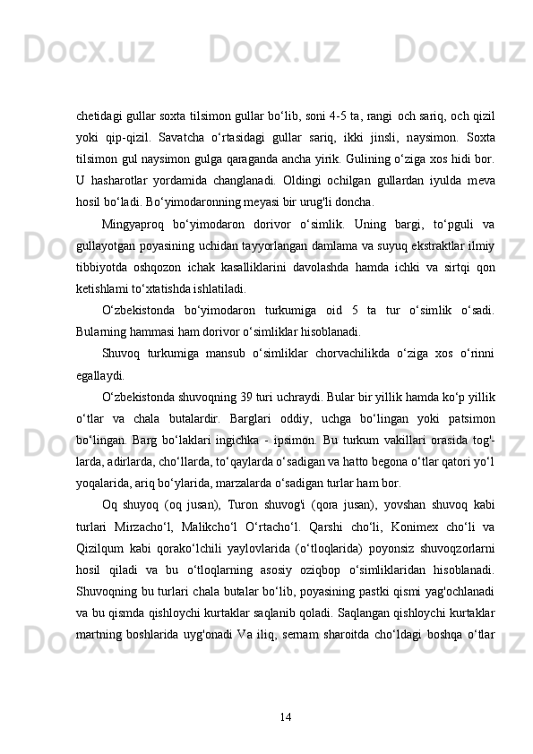 chetidagi gullar soxta tilsimon gullar bo‘lib, soni 4-5 ta, rangi   ос h sariq,   ос h qizil
yoki   qip-qizil.   Savatcha   o‘rtasidagi   gullar   sariq,   ikki   jinsli,   n ау simon.   Soxta
tilsimon gul naysimon gulga qaraganda ancha yirik. Gulining o‘ziga xos hidi bor.
U   hasharotlar   yordamida   changlanadi.   Oldingi   ochilgan   gullardan   iyulda   m е va
hosil bo‘ladi. Bo‘yimodaronning meyasi bir urug'li doncha.
Mingyaproq   bo‘yimodaron   dorivor   o‘simlik.   Uning   bargi,   to‘pguli   va
gullayotgan poyasining uchidan tayyorlangan damlama va suyuq ekstraktlar ilmiy
tibbiyotda   oshqozon   ichak   kasalliklarini   davolashda   hamda   ichki   va   sirtqi   qon
ketishlami to‘xtatishda ishlatiladi.
O‘zbekistonda   bo‘yimodaron   turkumiga   oid   5   ta   tur   o‘sim lik   o‘sadi.
Bularning hammasi ham dorivor o‘simliklar hisoblanadi.
Shuvoq   turkumiga   mansub   o‘simliklar   chorvachilikda   o‘ziga   xos   o‘rinni
egallaydi.
O‘zbekistonda shuvoqning 39 turi uchraydi. Bular bir yil lik hamda ko‘p yillik
o‘tlar   va   chala   butalardir.   Barglari   od diy,   uchga   bo‘lingan   yoki   patsimon
bo‘lingan.   Barg   bo‘laklari   ingichka   -   ipsimon.   В u   turkum   vakillari   orasida   tog' -
larda, adirlarda, cho‘llarda, to‘qaylarda o‘sadigan va hatto begona o‘tlar qatori yo‘l
yoqalarida, ariq bo‘ylarida, mar zalarda o‘sadigan turlar ham bor.
Oq   shuyoq   (oq   jusan),   Т uron   shuvog'i   (qora   jusan),   уо v shan   shuvoq   kabi
turlari   Mirzacho‘l,   Malikcho‘l   O‘rta cho‘l.   Qarshi   cho‘li,   Konimex   cho‘li   va
Qizilqum   kabi   qorako‘lchili   yaylovlarida   (o‘tloqlarida)   poyonsiz   shuvoq zorlarni
hosil   qil а di   va   bu   o‘tloqlarning   asosiy   oziqbop   o‘simliklaridan   hisoblanadi.
Shuvoqning bu turlari chala butalar bo‘lib, poyasining pastki  qismi  yag'ochlanadi
va bu qismda qishloychi kurtaklar saqlanib qoladi. Saqlangan qishloychi kurtaklar
martning   boshlarida   uyg'onadi   Va   iliq,   sernam   sharoitda   cho‘ldagi   boshqa   o‘tlar
14 