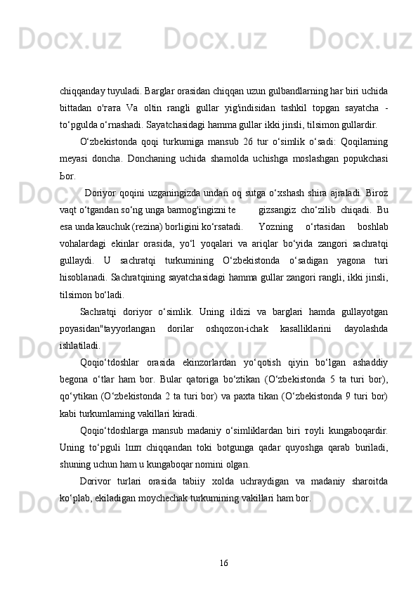 chiqqanday tuyuladi. Barglar orasidan chiqqan uzun gulbandlarning har biri uchida
bittadan   о ' гата   Va   oltin   rang li   gullar   yig'indisidan   tashkil   topgan   sayatcha   -
to‘pgulda o‘rnashadi. Sayatchasidagi hamma gullar ikki jinsli, tilsimon gullardir.
O‘zbekistonda   qoqi   turkumiga   mansub   26   tur   o‘simlik   o‘sadi:   Qoqilarning
meyasi   doncha.   Donchaning   uchida   sha molda   uchishga   moslashgan   popukchasi
Ь or.
Doriyor   qoqini   uzganingizda   undan   oq   sutga   o‘xshash   shira   ajraladi.   Biroz
vaqt o‘tgandan so‘ng unga barmog'ingizni te gizsangiz   cho‘zilib   chiqadi.   В u
esa unda kauchuk (rezina) borligini ko‘rsatadi. Yozning   o‘rtasidan   boshlab
vohalardagi   ekinlar   orasi d а ,   yo‘l   yoqalari   va   ariqlar   bo‘yida   zangori   sachratqi
gullay di.   U   sachratqi   turkumining   O‘zbekistonda   o‘sa digan   yagona   turi
hisoblanadi. Sachratqining sayatchasidagi hamma gullar zangori rangli, ikki jinsli,
tilsimon bo‘ladi.
Sachratqi   doriyor   o‘simlik.   Uning   ildizi   va   barglari   hamda   gullayotgan
poyasidan"tayyorlangan   dorilar   oshqozon-ichak   kasalliklarini   dayolashda
ishlatiladi.
Qoqio‘tdoshlar   orasida   ekinzorlardan   yo‘qotish   qiyin   bo‘lgan   ashaddiy
begona   o‘tlar   ham   bor.   Bular   qatoriga   bo‘ztikan   (O‘zbekistonda   5   ta   turi   bor),
qo‘ytikan  (O‘zbekistonda  2  ta   turi   bor)  va  paxta   tikan   (O‘zbekistonda   9  turi  bor)
kabi turkumlaming vakillari kiradi.
Qoqio‘tdoshlarga   mansub   madaniy   o‘simliklardan   biri   тоу li   kungaboqardir.
Uning   to‘pguli   l шп   chiqqandan   toki   botgunga   qadar   quyoshga   qarab   buriladi,
shuning uchun ham u kungaboqar nomini olgan.
Dorivor   turlari   orasida   tabiiy   xolda   uchraydigan   va   madaniy   sharoitda
ko‘plab, ekiladigan moychechak turkumining vakillari ham bor. 
16 