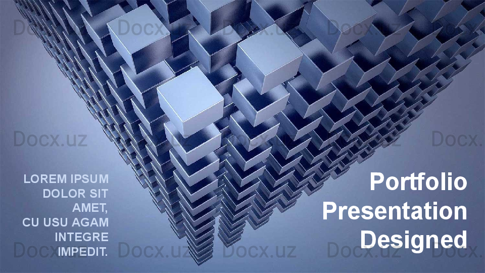 L OREM IPSUM 
DOLOR SIT 
AMET,
CU USU AGAM 
INTEGRE 
IMPEDIT. Portfolio
Presentation 
Designed