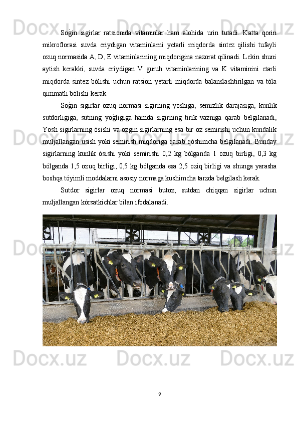 Sog(in   sigirlar   ratsionida   vitaminlar   ham   alohida   urin   tutadi.   Katta   qorin
mikroflorasi   suvda   eriydigan   vitaminlarni   yetarli   miqdorda   sintez   qilishi   tufayli
ozuq normasida A, D, E vitaminlarining miqdorigina nazorat qilinadi. Lekin shuni
aytish   kerakki,   suvda   eriydigan   V   guruh   vitaminlarining   va   K   vitaminini   etarli
miqdorda   sintez   bólishi   uchun   ratsion   yetarli   miqdorda   balanslashtirilgan   va   tóla
qimmatli bólishi kerak.
So
g(in   sigirlar   ozuq   normasi   sigirning   yoshiga,   semizlik   darajasiga,   kunlik
sutdorligiga,   sutning   yo	
g(ligiga   hamda   sigirning   tirik   vazniga   qarab   belgilanadi,
Yosh sigirlarning ósishi va ozgin sigirlarning esa bir oz semirishi uchun kundalik
muljallangan usish yoki semirish miqdoriga qarab qóshimcha belgilanadi. Bunday
sigirlarning   kunlik   ósishi   yoki   semirishi   0,2   kg   bólganda   1   ozuq   birligi,   0,3   kg
bólganda 1,5 ozuq birligi, 0,5 kg bólganda esa 2,5 oziq birligi va shunga yarasha
boshqa tóyimli moddalarni asosiy normaga kushimcha tarzda belgilash kerak.
Sutdor   sigirlar   ozuq   normasi   butoz,   sutdan   chiqqan   sigirlar   uchun
muljallangan kórsatkichlar bilan ifodalanadi. 
9 