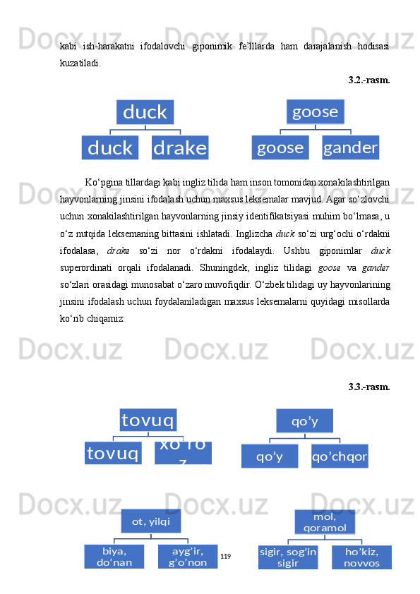 duck	
duck	drake	
goose	
goose	gander	
tovuq	
tovuq	
xo‘ro	
z	
qo’y	
qo’y	qo’chqor	
ot, yilqi	
biya,	 	
do’nan	
ayg’ir, 
g’o’non	
mol, 	
qoramol	
sigir, sog’in 	
sigir	
ho’kiz, 
novvoskabi   ish-harakatni   ifodalovchi   giponimik   fe’lllarda   ham   darajalanish   hodisasi
kuzatiladi. 
3.2.-rasm.
Ko‘pgina tillardagi kabi ingliz tilida ham inson tomonidan xonakilashtirilgan
hayvonlarning jinsini ifodalash uchun maxsus leksemalar mavjud. Agar so‘zlovchi
uchun xonakilashtirilgan hayvonlarning jinsiy identifikatsiyasi muhim bo‘lmasa, u
o‘z nutqida leksemaning bittasini ishlatadi. Inglizcha   duck   so‘zi urg‘ochi o‘rdakni
ifo d a la sa,   drake   so‘zi   nor   o‘rdakni   ifodalaydi.   Ushbu   giponimlar   duck
superordinati   orqali   ifodalanadi.   Shuningdek,   ingliz   tilidagi   goose   va   gander
so‘zlari orasidagi munosabat o‘zaro muvofiqdir. O ‘ zbek tilidagi uy hayvonlarining
jinsini ifodalash uchun foydalaniladigan maxsus leksemalarni quyidagi misollarda
ko‘rib chiqamiz:
3. 3 .-rasm.
119 