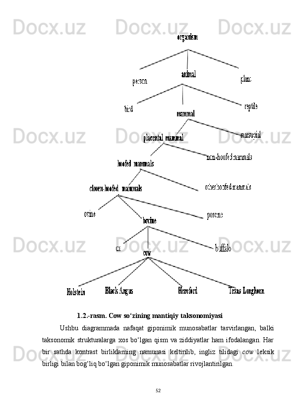 1. 2 . -rasm. Cow so‘zining mantiqiy taksonomiyasi
Ushbu   diagrammada   nafaqat   giponimik   munosabatlar   tasvirlangan,   balki
taksonomik   strukturalarga   xos   bo‘lgan   qism   va   ziddiyatlar   ham   ifodalangan.   Har
bir   sathda   kontrast   birliklarning   namunasi   keltirilib,   ingliz   tilidagi   cow   leksik
birligi bilan bog‘liq bo‘lgan giponimik munosabatlar rivojlantirilgan. 
52 