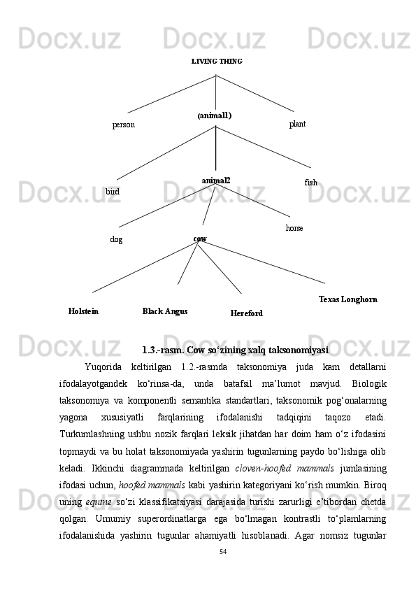LIVING THING
person ( animal1)
plant
bird animal2
fish
dog cow horse
Holstein Black Angus
Hereford Texas Longhorn
1.3.-rasm. Cow so‘zining xalq taksonomiyasi
Yuqorida   keltirilgan   1. 2 . -rasmda   taksonomiya   juda   kam   detallarni
ifodalayotgandek   ko‘rinsa - da,   unda   batafsil   ma’lumot   mavjud.   Biologik
taksonomiya   va   komponentli   semantika   standartlari,   taksonomik   pog‘onalarning
yagona   xususiyatli   farqlarining   ifodalanishi   tadqiqini   taqozo   etadi.
Turkumlashning   ushbu   nozik   farqlari   leksik   jihatdan   har   doim   ham   o‘z   ifodasini
topmaydi   va   bu   holat   taksonomiyada   yashirin   tugunlarning   paydo   bo‘lishiga   olib
keladi.   Ikkinchi   diagrammada   keltirilgan   cloven-hoofed   mammals   jumlasining
ifodasi uchun,   hoofed mammals   kabi yashirin kategoriyani ko‘rish mumkin. Biroq
uning   equine   so‘zi   klassifikatsiyasi   darajasida   turishi   zarurligi   e’tibordan   chetda
qolgan.   Umumiy   superordinatlarga   ega   bo‘lmagan   kontrastli   to‘plamlarning
ifodalanishida   yashirin   tugunlar   ahamiyatli   hisoblanadi.   Agar   nomsiz   tugunlar
54 