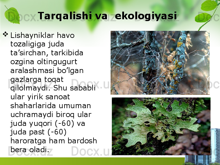 Tarqalishi va  ekologiyasi

Lishayniklar havo 
tozaligiga juda 
ta’sirchan, tarkibida 
ozgina oltingugurt 
aralashmasi bo’lgan 
gazlarga toqat 
qilolmaydi. Shu sababli 
ular yirik sanoat 
shaharlarida umuman 
uchramaydi biroq ular 
juda yuqori (-60) va 
juda past (-60) 
haroratga ham bardosh 
bera oladi.   