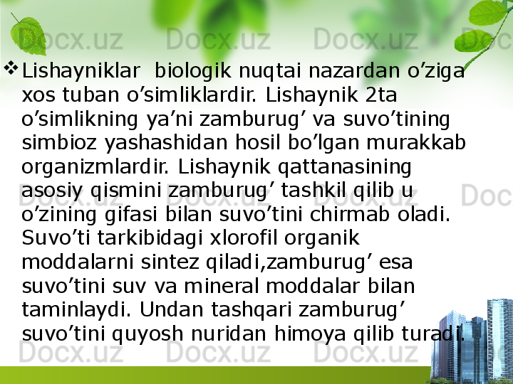 
Lishayniklar  biologik nuqtai nazardan o’ziga 
xos tuban o’simliklardir. Lishaynik 2ta 
o’simlikning ya’ni zamburug’ va suvo’tining 
simbioz yashashidan hosil bo’lgan murakkab 
organizmlardir. Lishaynik qattanasining 
asosiy qismini zamburug’ tashkil qilib u 
o’zining gifasi bilan suvo’tini chirmab oladi. 
Suvo’ti tarkibidagi xlorofil organik 
moddalarni sintez qiladi,zamburug’ esa 
suvo’tini suv va mineral moddalar bilan 
taminlaydi. Undan tashqari zamburug’ 
suvo’tini quyosh nuridan himoya qilib turadi. 