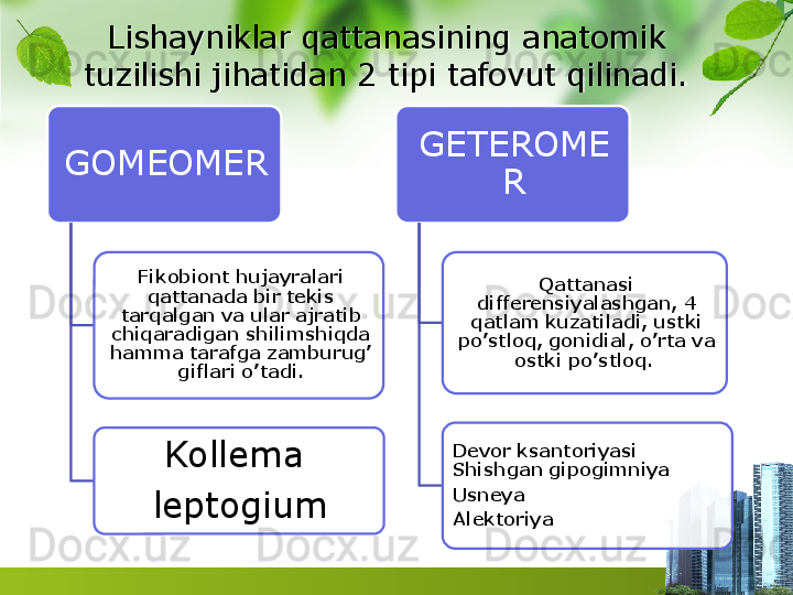 Lishayniklar qattanasining anatomik 
tuzilishi jihatidan 2 tipi tafovut qilinadi.
GOMEOMER
Fikobiont hujayralari 
qattanada bir tekis 
tarqalgan va ular ajratib 
chiqaradigan shilimshiqda 
hamma tarafga zamburug’ 
giflari o’tadi.
Kollema 
leptogium GETEROME
R
Qattanasi 
differensiyalashgan, 4 
qatlam kuzatiladi, ustki 
po’stloq, gonidial, o’rta va 
ostki po’stloq. 
Devor ksantoriyasi 
Shishgan gipogimniya 
Usneya 
Alektoriya        