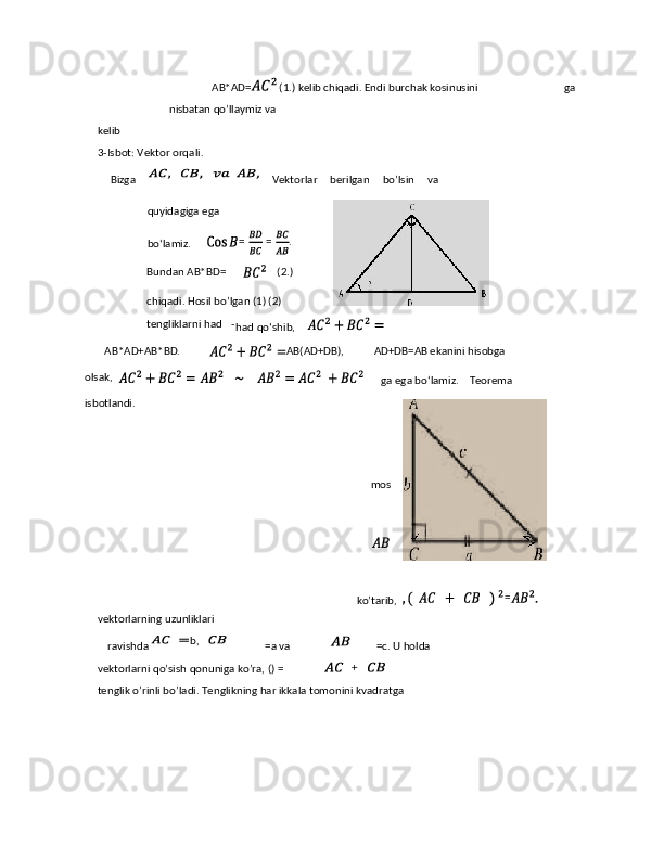 AB*AD=  (1.) kelib chiqadi. Endi burchak kosinusini  ga 
nisbatan qo’llaymiz va 
kelib 
3-Isbot: Vektor orqali.      
  Bizga     Vektorlar   berilgan   bo’lsin   va
vektorlarning uzunliklari 
ravishda  =a va  =c. U holda 
vektorlarni qo’sish qonuniga ko’ra, () = 
tenglik o’rinli bo’ladi. Tenglikning har ikkala tomonini kvadratga   
b,quyidagiga ega 
bo‘lamiz. = = .   
Bundan AB*BD=     (2.)   
chiqadi. Hosil bo’lgan (1) (2) 
tengliklarni had -
had qo‘shib,  
       AB*AD+AB*BD. AB(AD+DB),   AD+DB=AB ekanini hisobga            
olsak,        
ga ega bo‘lamiz.    Teorema 
isbotlandi.  
mos 
  
ko’tarib, =      
 
  + 