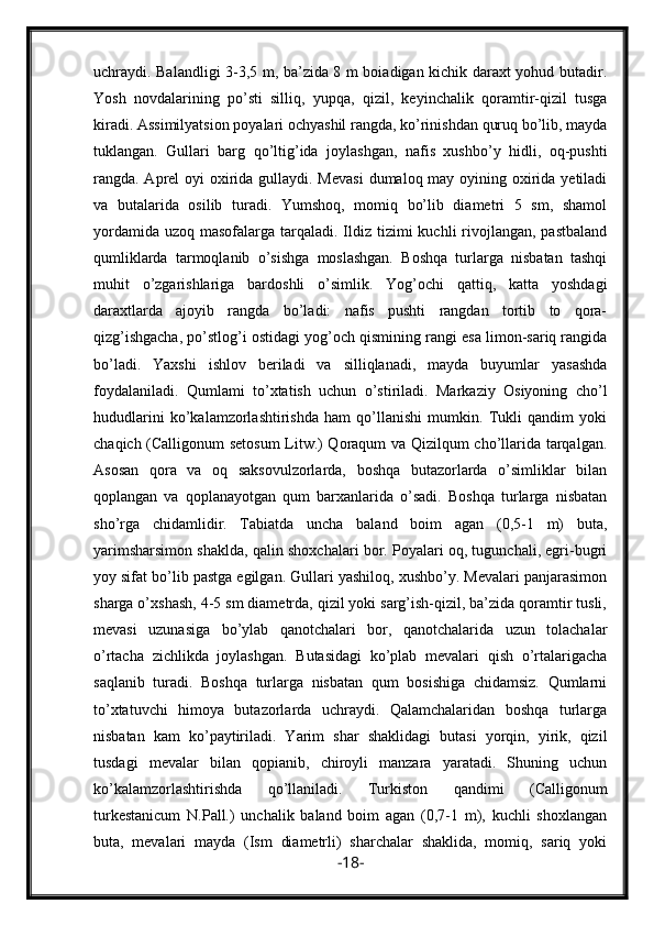 uchraydi. Balandligi 3-3,5 m, ba’zida 8 m boiadigan kichik daraxt yohud butadir.
Yosh   novdalarining   po’sti   silliq,   yupqa,   qizil,   keyinchalik   qoramtir-qizil   tusga
kiradi. Assimilyatsion poyalari ochyashil rangda, ko’rinishdan quruq bo’lib, mayda
tuklangan.   Gullari   barg   qo’ltig’ida   joylashgan,   nafis   xushbo’y   hidli,   oq-pushti
rangda. Aprel oyi  oxirida gullaydi. Mevasi  dumaloq may oyining oxirida yetiladi
va   butalarida   osilib   turadi.   Yumshoq,   momiq   bo’lib   diametri   5   sm,   shamol
yordamida  uzoq masofalarga tarqaladi. Ildiz tizimi  kuchli  rivojlangan,  pastbaland
qumliklarda   tarmoqlanib   o’sishga   moslashgan.   Boshqa   turlarga   nisbatan   tashqi
muhit   o’zgarishlariga   bardoshli   o’simlik.   Yog’ochi   qattiq,   katta   yoshdagi
daraxtlarda   ajoyib   rangda   bo’ladi:   nafis   pushti   rangdan   tortib   to   qora-
qizg’ishgacha, po’stlog’i ostidagi yog’och qismining rangi esa limon-sariq rangida
bo’ladi.   Yaxshi   ishlov   beriladi   va   silliqlanadi,   mayda   buyumlar   yasashda
foydalaniladi.   Qumlami   to’xtatish   uchun   o’stiriladi.   Markaziy   Osiyoning   cho’l
hududlarini   ko’kalamzorlashtirishda   ham   qo’llanishi   mumkin.   Tukli   qandim   yoki
chaqich (Calligonum setosum  Litw.) Qoraqum va Qizilqum cho’llarida tarqalgan.
Asosan   qora   va   oq   saksovulzorlarda,   boshqa   butazorlarda   o’simliklar   bilan
qoplangan   va   qoplanayotgan   qum   barxanlarida   o’sadi.   Boshqa   turlarga   nisbatan
sho’rga   chidamlidir.   Tabiatda   uncha   baland   boim   agan   (0,5-1   m)   buta,
yarimsharsimon shaklda, qalin shoxchalari bor. Poyalari oq, tugunchali, egri-bugri
yoy sifat bo’lib pastga egilgan. Gullari yashiloq, xushbo’y. Mevalari panjarasimon
sharga o’xshash, 4-5 sm diametrda, qizil yoki sarg’ish-qizil, ba’zida qoramtir tusli,
mevasi   uzunasiga   bo’ylab   qanotchalari   bor,   qanotchalarida   uzun   tolachalar
o’rtacha   zichlikda   joylashgan.   Butasidagi   ko’plab   mevalari   qish   o’rtalarigacha
saqlanib   turadi.   Boshqa   turlarga   nisbatan   qum   bosishiga   chidamsiz.   Qumlarni
to’xtatuvchi   himoya   butazorlarda   uchraydi.   Qalamchalaridan   boshqa   turlarga
nisbatan   kam   ko’paytiriladi.   Yarim   shar   shaklidagi   butasi   yorqin,   yirik,   qizil
tusdagi   mevalar   bilan   qopianib,   chiroyli   manzara   yaratadi.   Shuning   uchun
ko’kalamzorlashtirishda   qo’llaniladi.   Turkiston   qandimi   (Calligonum
turkestanicum   N.Pall.)   unchalik   baland   boim   agan   (0,7-1   m),   kuchli   shoxlangan
buta,   mevalari   mayda   (Ism   diametrli)   sharchalar   shaklida,   momiq,   sariq   yoki
- 18 - 