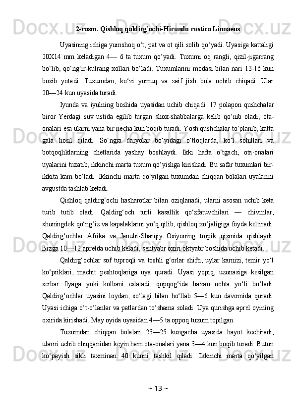 2-rasm. Qishloq qaldirg’ochi-Hirundo rustica Linnaeus
Uyasining ichiga yumshoq o‘t, pat va ot qili solib qo‘yadi. Uyasiga kattaligi
20X14   mm   keladigan   4—   6   ta   tuxum   qo‘yadi.   Tuxumi   oq   rangli,   qizil-jigarrang
bo‘lib, qo‘ng‘ir-kulrang xollari bo‘ladi. Tuxumlarini  modasi  bilan nari 13-16 kun
bosib   yotadi.   Tuxumdan,   ko‘zi   yumuq   va   zaif   jish   bola   ochib   chiqadi.   Ular
20—24 kun uyasida turadi. 
Iyunda  va  iyulning  boshida  uyasidan  uchib  chiqadi.  17 polapon  qushchalar
biror   Yerdagi   suv   ustida   egilib   turgan   shox-shabbalarga   kelib   qo‘nib   oladi,   ota-
onalari esa ularni yana bir necha kun boqib turadi. Yosh qushchalar to‘planib, katta
gala   hosil   qiladi.   So‘ngra   daryolar   bo‘yidagi   o‘tloqlarda,   ko‘l   sohillari   va
botqoqliklarning   chetlarida   yashay   boshlaydi.   Ikki   hafta   o‘tgach,   ota-onalari
uyalarini tuzatib, ikkinchi marta tuxum qo‘yishga kirishadi. Bu safar tuxumlari bir-
ikkita kam bo‘ladi. Ikkinchi marta qo‘yilgan tuxumdan chiqqan bolalari  uyalarini
avgustda tashlab ketadi. 
Qishloq   qaldirg‘ochi   hasharotlar   bilan   oziqlanadi,   ularni   asosan   uchib   keta
turib   tutib   oladi.   Qaldirg‘och   turli   kasallik   qo‘zfatuvchilari   —   chivinlar,
shuningdek qo‘ng‘iz va kapalaklarni yo‘q qilib, qishloq xo‘jaligiga foyda keltiradi.
Qaldirg‘ochlar   Afrika   va   Janubi-Sharqiy   Osiyoning   tropik   qismida   qishlaydi.
Bizga 10—12 aprelda uchib keladi, sentyabr oxiri oktyabr boshida uchib ketadi. 
Qaldirg‘ochlar   sof   tuproqli   va  toshli   g‘orlar   shifti,   uylar   karnizi,  temir   yo‘l
ko‘priklari,   machit   peshtoqlariga   uya   quradi.   Uyasi   yopiq,   uzunasiga   kesilgan
serbar   flyaga   yoki   kolbani   eslatadi,   qopqog‘ida   ba'zan   uchta   yo‘li   bo‘ladi.
Qaldirg‘ochlar   uyasini   loydan,   so‘lagi   bilan   ho‘llab   5—6   kun   davomida   quradi.
Uyasi ichiga o‘t-o‘lanlar va patlardan to‘shama soladi. Uya qurishga aprel oyining
oxirida kirishadi. May oyida uyasidan 4—5 ta oppoq tuxum topilgan. 
Tuxumdan   chiqqan   bolalari   23—25   kungacha   uyasida   hayot   kechiradi,
ularni uchib chiqqanidan keyin ham ota-onalari yana 3—4 kun boqib turadi. Butun
ko‘payish   sikli   taxminan   40   kunni   tashkil   qiladi.   Ikkinchi   marta   qo‘yilgan
~  13  ~ 