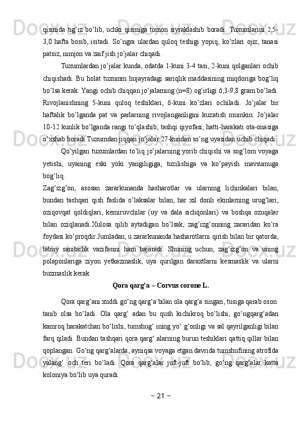 qismida   tig’iz   bo’lib,   uchki   qismiga   tomon   siyraklashib   boradi.   Tuxumlarini   2,5-
3,0   hafta   bosib,   isitadi.   So’ngra   ulardan   quloq   teshigi   yopiq,   ko’zlari   ojiz,   tanasi
patsiz, nimjon va zaif jish jo’jalar chiqadi. 
Tuxumlardan jo’jalar kunda, odatda 1-kuni 3-4 tasi, 2-kuni qolganlari ochib
chiqishadi. Bu holat tuxumm hujayradagi sariqlik maddasining miqdoriga bog’liq
bo’lsa kerak. Yangi ochib chiqqan jo’jalarning (n=8) og’irligi 6,3-9,8 gram bo’ladi.
Rivojlanishning   5-kuni   quloq   teshiklari,   6-kuni   ko’zlari   ochiladi.   Jo’jalar   bir
haftalik   bo’lganda   pat   va   parlarning   rivojlanganligini   kuzatish   mumkin.   Jo’jalar
10-12 kunlik bo’lganda rangi to’qlashib, tashqi qiyofasi, hatti-harakati ota-onasiga
o’xshab boradi.Tuxumdan jiqqan jo’jalar 27-kundan so’ng uyasidan uchib chiqadi.
Qo’yilgan tuxumlardan to’liq jo’jalarning yorib chiqishi va sog’lom voyaga
yetishi,   uyaning   eski   yoki   yangiligiga,   tuzilishiga   va   ko’payish   mavsumuga
bog’liq.
Zag’izg’on,   asosan   zararkunanda   hasharotlar   va   ularning   lichinkalari   bilan,
bundan   tashqari   qish   faslida   o’laksalar   bilan,   har   xil   donli   ekinlarning   urug’lari,
oziqovqat   qoldiqlari,   kemiruvchilar   (uy   va   dala   sichqonlari)   va   boshqa   ozuqalar
bilan   oziqlanadi.Xulosa   qilib   aytadigan   bo’lsak,   zag’izg’onning   zararidan   ko’ra
foydasi ko’proqdir.Jumladan, u zararkunanda hasharotlarni qirish bilan bir qatorda,
tabiiy   sanitarlik   vazifasini   ham   bajaradi.   Shuning   uchun,   zag’izg’on   va   uning
polaponlariga   ziyon   yetkazmaslik,   uya   qurilgan   daraxtlarni   kesmaslik   va   ularni
buzmaslik kerak.
Qora qarg’a – Corvus corone L.
Qora qarg‘ani xuddi go‘ng qarg‘a bilan ola qarg‘a singari, tusiga qarab oson 
tanib   olsa   bo‘ladi.   Ola   qarg‘   adan   bu   qush   kichikroq   bo‘lishi,   go‘ngqarg‘adan
kamroq harakatchan bo‘lishi, tumshug‘ ining yo‘ g‘onligi va sal qayrilganligi bilan
farq qiladi. Bundan tashqari qora qarg‘ alarning burun teshiklari qattiq qillar bilan
qoplangan. Go‘ng qarg‘alarda, ayniqsa voyaga etgan davrida tumshufining atrofida
yalang‘   och   teri   bo‘ladi.   Qora   qarg‘alar   juft-juft   bo‘lib,   go‘ng   qarg‘alar   katta
koloniya bo‘lib uya quradi.
~  21  ~ 