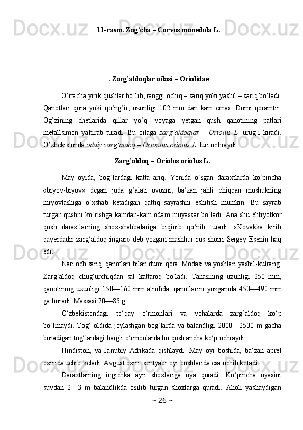 11-rasm. Zag’cha – Corvus monedula L.
. Zarg’aldoqlar oilasi – Oriolidae
          O’rtacha yirik qushlar bo’lib, ranggi ochiq – sariq yoki yashil – sariq bo’ladi.
Qanotlari   qora   yoki   qo’ng’ir,   uzunligi   102   mm   dan   kam   emas.   Dumi   qoramtir.
Og’zining   chetlarida   qillar   yo’q.   voyaga   yetgan   qush   qanotining   patlari
metallsimon   yaltirab   turadi.   Bu   oilaga   zarg’aldoqlar   –   Oriolus   L.   urug’i   kiradi.
O’zbekistonda  oddiy zarg’aldoq – Orioulus oriolus L.  turi uchraydi.
Zarg’aldoq – Oriolus oriolus L.
May   oyida,   bog‘lardagi   katta   ariq.   Yonida   o‘sgan   daraxtlarda   ko‘pincha
«biyov-biyov»   degan   juda   g’alati   ovozni,   ba‘zan   jahli   chiqqan   mushukning
miyovlashiga   o‘xshab   ketadigan   qattiq   sayrashni   eshitish   mumkin.   Bu   sayrab
turgan qushni ko‘rishga kamdan-kam odam muyassar bo‘ladi. Ana shu ehtiyotkor
qush   daraxtlarning   shox-shabbalariga   biqinib   qo‘nib   turadi.   «Kovakka   kirib
qayerdadir   zarg‘aldoq   ingrar»   deb   yozgan   mashhur   rus   shoiri   Sergey   Esenin   haq
edi. 
Nari och sariq, qanotlari bilan dumi qora. Modasi va yoshlari yashil-kulrang.
Zarg‘aldoq   chug‘urchiqdan   sal   kattaroq   bo‘ladi.   Tanasining   uzunligi   250   mm,
qanotining   uzunligi   150—160   mm   atrofida,   qanotlarini   yozganida   450—490   mm
ga boradi. Massasi 70—85 g. 
O‘zbekistondagi   to‘qay   o‘rmonlari   va   vohalarda   zarg‘aldoq   ko‘p
bo‘lmaydi.   Tog‘   oldida   joylashgan   bog‘larda   va   balandligi   2000—2500   m   gacha
boradigan tog‘lardagi bargli o‘rmonlarda bu qush ancha ko‘p uchraydi. 
Hindiston,   va   Janubiy   Afrikada   qishlaydi.   May   oyi   boshida,   ba‘zan   aprel
oxirida uchib keladi. Avgust oxiri, sentyabr oyi boshlarida esa uchib ketadi. 
Daraxtlarning   ingichka   ayri   shoxlariga   uya   quradi.   Ko‘pincha   uyasini
suvdan   2—3   m   balandlikda   osilib   turgan   shoxlarga   quradi.   Aholi   yashaydigan
~  26  ~ 