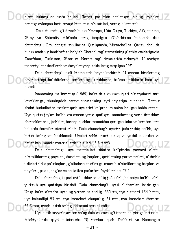 qismi   kulrang   oq   tusda   bo’ladi.   Tanasi   pat   bilan   qoplangan,   oldingi   oyoqlari
qanotga aylangan bosh suyagi bitta ensa o’simtalari, yuragi 4 kamerali. 
 Dala chumchug’i deyarli butun Yevropa, Urta Osiyo, Turkiya, Afg’oniston,
Xitoy   va   Shimoliy   Afrikada   keng   tarqalgan.   O’zbekiston   hududida   dala
chumchug’i   Orol   dengizi   sohillarida,   Qizilqumda,   Mirzacho’lda,   Qarshi   cho’lida
butun madaniy landshaftlar bo’ylab Chotqol tog’ tizmasining g’arbiy etaklarigacha
Zarafshon,   Turkiston,   Xisor   va   Nurota   tog’   tizmalarida   uchraydi.   U   ayniqsa
madaniy landshaftlarda va daryolar yoqalarida keng tarqalgan [25].
Dala   chumchug’i   turli   biotoplarda   hayot   kechiradi.   U   asosan   binolarning
devorlaridagi   bo’shliqlarda,   tomlarning   tirqishlarida,   ba’zan   jarliklarda   ham   uya
quradi.
Ivanovning ma’lumotiga (1969)  ko’ra dala chumchuqlari  o’z uyalarini  turli
kovaklariga,   shuningdek   daraxt   shoxlarining   ayri   joylariga   qurishadi.   Termiz
shahri hududlarida mazkur qush uyalarini ko’proq koloniya bo’lgan holda quradi.
Uya qurish joylari bo’lib esa asosan yangi qurilgan imoratlarning yoriq tirqishlari
cherdaklar osti, jarliklar, boshqa qushlar tomonidan qurilgan inlar va kamdan-kam
hollarda  daraxtlar  xizmat  qiladi. Dala chumchug’i  uyasini  juda pishiq bo’lib, uya
kirish   teshigidan   boshlanadi.   Uyalari   ichki   qismi   quruq   va   yashil   o’tlardan   va
patlar kabi momiq materiallardan tuziladi (3.3-rasm). 
Dala   chumchug’i   uya   materiallari   sifatida   ko pincha   yovvoyi   o’tchil‟
o’simliklarning poyalari, darxtlarning barglari, qushlarning par va patlari, o’simlik
ildizlari ildiz po’stloqlari, g’alladoshlar oilasiga mansub o’simlilarning barglari va
poyalari, paxta, qog’oz va polietilen parlardan foydalaniladi [21].
Dala chumchug’i aprel oyi boshlarida to’liq juftlashib, koloniya bo’lib uchib
yurishib   uya   qurishga   kirishdi.   Dala   chumchug’i   uyasi   o’lchamlari   keltirilgan.
Unga   ko’ra   o’rtacha   uyaning   yerdan   balandligi   330   sm,   uya   diametri   156.2   mm,
uya   balandligi   93   sm,   uya   kosachasi   chuqurligi   81   mm,   uya   kosachasi   diametri
85.5 mm, uyada kirish teshigi 66 mmni tashkil etdi. 
Uya qurib tayyorlagandan so’ng dala chumchug’i tuxum qo’yishga kirishadi.
Adabiyotlarda   qayd   qilinishicha   [3]   mazkur   qush   Toshkent   va   Namangan
~  31  ~ 