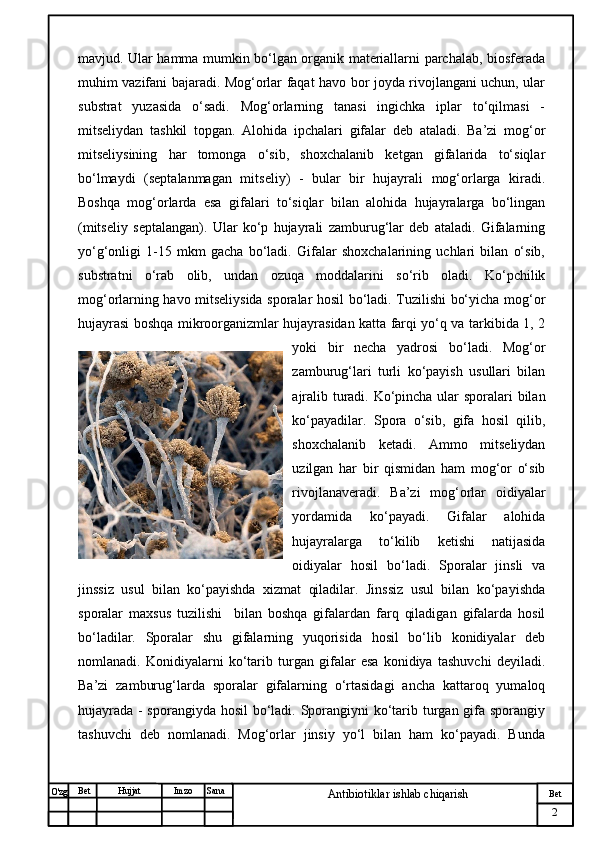 № Хужжат
Изм
2Bet
Antibiotiklar ishlab chiqarishSanaImzoBet
Hujjat
O'zg mavjud. Ular hamma mumkin bo‘lgan organik materiallarni parchalab, biosferada
muhim vazifani bajaradi. Mog‘orlar faqat havo bor joyda rivojlangani uchun, ular
substrat   yuzasida   o‘sadi.   Mog‘orlarning   tanasi   ingichka   iplar   to‘qilmasi   -
mitseliydan   tashkil   topgan.   Alohida   ipchalari   gifalar   deb   ataladi.   Ba’zi   mog‘or
mitseliysining   har   tomonga   o‘sib,   shoxchalanib   ketgan   gifalarida   to‘siqlar
bo‘lmaydi   (septalanmagan   mitseliy)   -   bular   bir   hujayrali   mog‘orlarga   kiradi.
Boshqa   mog‘orlarda   esa   gifalari   to‘siqlar   bilan   alohida   hujayralarga   bo‘lingan
(mitseliy   septalangan).   Ular   ko‘p   hujayrali   zamburug‘lar   deb   ataladi.   Gifalarning
yo‘g‘onligi   1-15   mkm   gacha   bo‘ladi.   Gifalar   shoxchalarining   uchlari   bilan   o‘sib,
substratni   o‘rab   olib,   undan   ozuqa   moddalarini   so‘rib   oladi.   Ko‘pchilik
mog‘orlarning havo mitseliysida sporalar hosil bo‘ladi. Tuzilishi bo‘yicha mog‘or
hujayrasi boshqa mikroorganizmlar hujayrasidan katta farqi yo‘q va tarkibida 1, 2
yoki   bir   necha   yadrosi   bo‘ladi.   Mog‘or
zamburug‘lari   turli   ko‘payish   usullari   bilan
ajralib turadi. Ko‘pincha ular sporalari bilan
ko‘payadilar.   Spora   o‘sib,   gifa   hosil   qilib,
shoxchalanib   ketadi.   Ammo   mitseliydan
uzilgan   har   bir   qismidan   ham   mog‘or   o‘sib
rivojlanaveradi.   Ba’zi   mog‘orlar   oidiyalar
yordamida   ko‘payadi.   Gifalar   alohida
hujayralarga   to‘kilib   ketishi   natijasida
oidiyalar   hosil   bo‘ladi.   Sporalar   jinsli   va
jinssiz   usul   bilan   ko‘payishda   xizmat   qiladilar.   Jinssiz   usul   bilan   ko‘payishda
sporalar   maxsus   tuzilishi     bilan   boshqa   gifalardan   farq   qiladigan   gifalarda   hosil
bo‘ladilar.   Sporalar   shu   gifalarning   yuqorisida   hosil   bo‘lib   konidiyalar   deb
nomlanadi.   Konidiyalarni   ko‘tarib   turgan   gifalar   esa   konidiya   tashuvchi   deyiladi.
Ba’zi   zamburug‘larda   sporalar   gifalarning   o‘rtasidagi   ancha   kattaroq   yumaloq
hujayrada - sporangiyda hosil  bo‘ladi. Sporangiyni  ko‘tarib turgan gifa sporangiy
tashuvchi   deb   nomlanadi.   Mog‘orlar   jinsiy   yo‘l   bilan   ham   ko‘payadi.   Bunda 