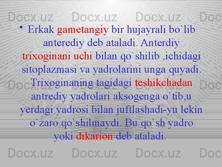 •
Erkak  gametangiy  bir hujayrali bo`lib 
anterediy deb ataladi. Anterdiy 
trixoginani uchi  bilan qo`shilib ,ichidagi 
sitoplazmasi va yadrolarini unga quyadi. 
Trixoginaning tagidagi  teshikchadan 
antrediy yadrolari aksogenga o`tib,u 
yerdagi yadrosi bilan juftlashadi-yu lekin 
o`zaro qo`shilmaydi. Bu qo`sh yadro 
yoki  dikarion  deb ataladi.  