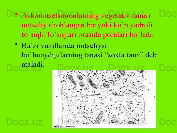 •
Askomitsetsimonlarning vegetativ tanasi 
mitseliy shohlangan bir yoki ko`p yadroli 
to`siqli.To`siqlari orasida poralari bo`ladi.
•
Ba`zi vakillarida mitseliysi 
bo`lmaydi,ularning tanasi “soxta tana” deb 
ataladi.  