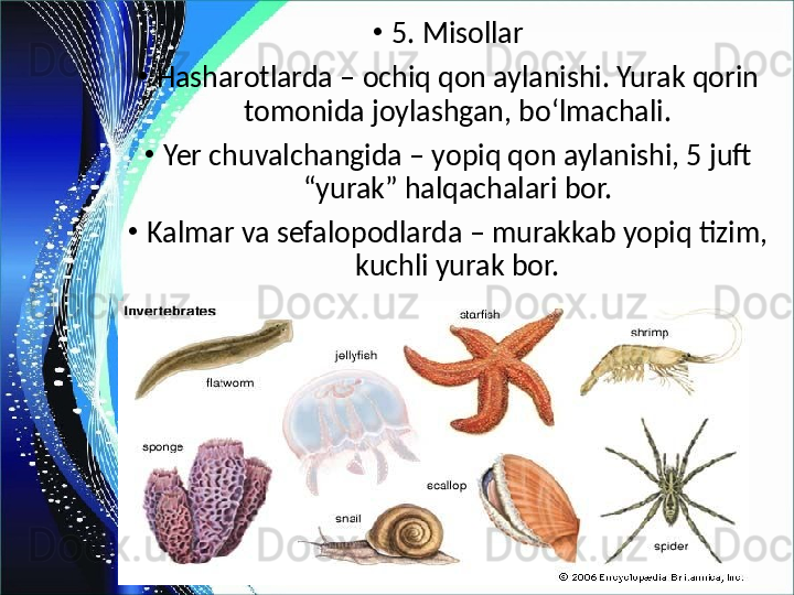 •
5. Misollar
•
Hasharotlarda – ochiq qon aylanishi. Yurak qorin 
tomonida joylashgan, bo‘lmachali.
•
Yer chuvalchangida – yopiq qon aylanishi, 5 juft 
“yurak” halqachalari bor.
•
Kalmar va sefalopodlarda – murakkab yopiq tizim, 
kuchli yurak bor. 