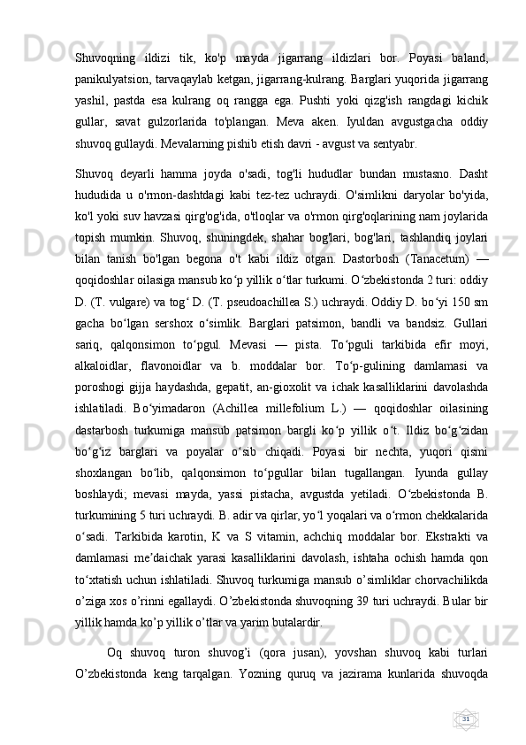 31Shuvoqning   ildizi   tik,   ko'p   mayda   jigarrang   ildizlari   bor.   Poyasi   baland,
panikulyatsion, tarvaqaylab ketgan, jigarrang-kulrang. Barglari yuqorida jigarrang
yashil,   pastda   esa   kulrang   oq   rangga   ega.   Pushti   yoki   qizg'ish   rangdagi   kichik
gullar,   savat   gulzorlarida   to'plangan.   Meva   aken.   Iyuldan   avgustgacha   oddiy
shuvoq gullaydi. Mevalarning pishib etish davri - avgust va sentyabr.
Shuvoq   deyarli   hamma   joyda   o'sadi,   tog'li   hududlar   bundan   mustasno.   Dasht
hududida   u   o'rmon-dashtdagi   kabi   tez-tez   uchraydi.   O'simlikni   daryolar   bo'yida,
ko'l yoki suv havzasi qirg'og'ida, o'tloqlar va o'rmon qirg'oqlarining nam joylarida
topish   mumkin.   Shuvoq,   shuningdek,   shahar   bog'lari,   bog'lari,   tashlandiq   joylari
bilan   tanish   bo'lgan   begona   o't   kabi   ildiz   otgan.   Dastorbosh   (Tanacetum)   —
qoqidoshlar oilasiga mansub ko p yillik o tlar turkumi. O zbekistonda 2 turi: oddiyʻ ʻ ʻ
D. (T. vulgare) va tog  D. (T. pseudoachillea S.) uchraydi. Oddiy D. bo yi 150 sm	
ʻ ʻ
gacha   bo lgan   sershox   o simlik.   Barglari   patsimon,   bandli   va   bandsiz.   Gullari	
ʻ ʻ
sariq,   qalqonsimon   to pgul.   Mevasi   —   pista.   To pguli   tarkibida   efir   moyi,	
ʻ ʻ
alkaloidlar,   flavonoidlar   va   b.   moddalar   bor.   To p-gulining   damlamasi   va	
ʻ
poroshogi   gijja   haydashda,   gepatit,   an-gioxolit   va   ichak   kasalliklarini   davolashda
ishlatiladi.   Bo yimadaron   (Achillea   millefolium   L.)   —   qoqidoshlar   oilasining	
ʻ
dastarbosh   turkumiga   mansub   patsimon   bargli   ko p   yillik   o t.   Ildiz   bo g zidan	
ʻ ʻ ʻ ʻ
bo g iz   barglari   va   poyalar   o sib   chiqadi.   Poyasi   bir   nechta,   yuqori   qismi	
ʻ ʻ ʻ
shoxlangan   bo lib,   qalqonsimon   to pgullar   bilan   tugallangan.   Iyunda   gullay	
ʻ ʻ
boshlaydi;   mevasi   mayda,   yassi   pistacha,   avgustda   yetiladi.   O zbekistonda   B.	
ʻ
turkumining 5 turi uchraydi. B. adir va qirlar, yo l yoqalari va o rmon chekkalarida	
ʻ ʻ
o sadi.   Tarkibida   karotin,   K   va   S   vitamin,   achchiq   moddalar   bor.   Ekstrakti   va	
ʻ
damlamasi   me daichak   yarasi   kasalliklarini   davolash,   ishtaha   ochish   hamda   qon	
ʼ
to xtatish  uchun ishlatiladi.	
ʻ   Shuvoq turkumiga mansub  o’simliklar  chorvachilikda
o’ziga xos o’rinni egallaydi. O’zbekistonda shuvoqning 39 turi uchraydi. Bular bir
yillik hamda ko’p yillik o’tlar va yarim butalardir.
Oq   shuvoq   turon   shuvog’i   (qora   jusan),   yovshan   shuvoq   kabi   turlari
O’zbekistonda   keng   tarqalgan.   Yozning   quruq   va   jazirama   kunlarida   shuvoqda 