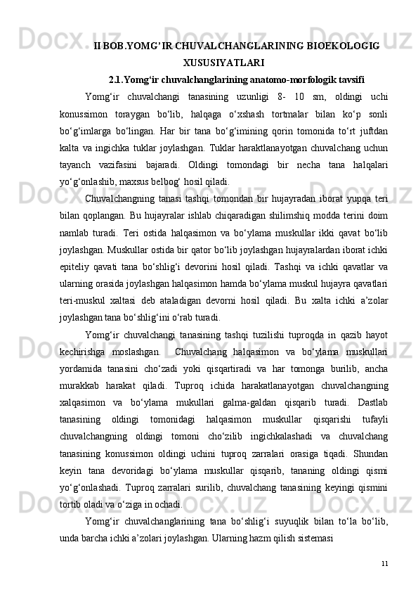 II   BOB . YOMG ’ IR   CHUVALCHANGLARINING   BIOEKOLOGIG
XUSUSIYATLARI
2.1.Yomg‘ir chuvalchanglarining anatomo-morfologik tavsifi
Yomg‘ir   chuvalchangi   tanasining   uzunligi   8-   10   sm,   oldingi   uchi
konussimon   toraygan   bo‘lib,   halqaga   o‘xshash   tortmalar   bilan   ko‘p   sonli
bo‘g‘imlarga   bo‘lingan.   Har   bir   tana   bo‘g‘imining   qorin   tomonida   to‘rt   juftdan
kalta   va   ingichka   tuklar   joylashgan.   Tuklar   haraktlanayotgan   chuvalchang   uchun
tayanch   vazifasini   bajaradi.   Oldingi   tomondagi   bir   necha   tana   halqalari
yo‘g‘onlashib, maxsus belbog‘ hosil qiladi.
Chuvalchangning   tanasi   tashqi   tomondan   bir   hujayradan   iborat   yupqa   teri
bilan qoplangan. Bu hujayralar  ishlab chiqaradigan  shilimshiq modda terini  doim
namlab   turadi.   Teri   ostida   halqasimon   va   bo‘ylama   muskullar   ikki   qavat   bo‘lib
joylashgan. Muskullar ostida bir qator bo‘lib joylashgan hujayralardan iborat ichki
epiteliy   qavati   tana   bo‘shlig‘i   devorini   hosil   qiladi.   Tashqi   va   ichki   qavatlar   va
ularning orasida joylashgan halqasimon hamda bo‘ylama muskul hujayra qavatlari
teri-muskul   xaltasi   deb   ataladigan   devorni   hosil   qiladi.   Bu   xalta   ichki   a’zolar
joylashgan tana bo‘shlig‘ini o‘rab turadi.
Yomg‘ir   chuvalchangi   tanasining   tashqi   tuzilishi   tuproqda   in   qazib   hayot
kechirishga   moslashgan.     Chuvalchang   halqasimon   va   bo‘ylama   muskullari
yordamida   tanasini   cho‘zadi   yoki   qisqartiradi   va   har   tomonga   burilib,   ancha
murakkab   harakat   qiladi.   Tuproq   ichida   harakatlanayotgan   chuvalchangning
xalqasimon   va   bo‘ylama   mukullari   galma-galdan   qisqarib   turadi.   Dastlab
tanasining   oldingi   tomonidagi   halqasimon   muskullar   qisqarishi   tufayli
chuvalchangning   oldingi   tomoni   cho‘zilib   ingichkalashadi   va   chuvalchang
tanasining   konussimon   oldingi   uchini   tuproq   zarralari   orasiga   tiqadi.   Shundan
keyin   tana   devoridagi   bo‘ylama   muskullar   qisqarib,   tananing   oldingi   qismi
yo‘g‘onlashadi.   Tuproq   zarralari   surilib,   chuvalchang   tanasining   keyingi   qismini
tortib oladi va o‘ziga in ochadi.
Yomg‘ir   chuvalchanglarining   tana   bo‘shlig‘i   suyuqlik   bilan   to‘la   bo‘lib,
unda barcha ichki a’zolari joylashgan. Ularning hazm qilish sistemasi 
11 