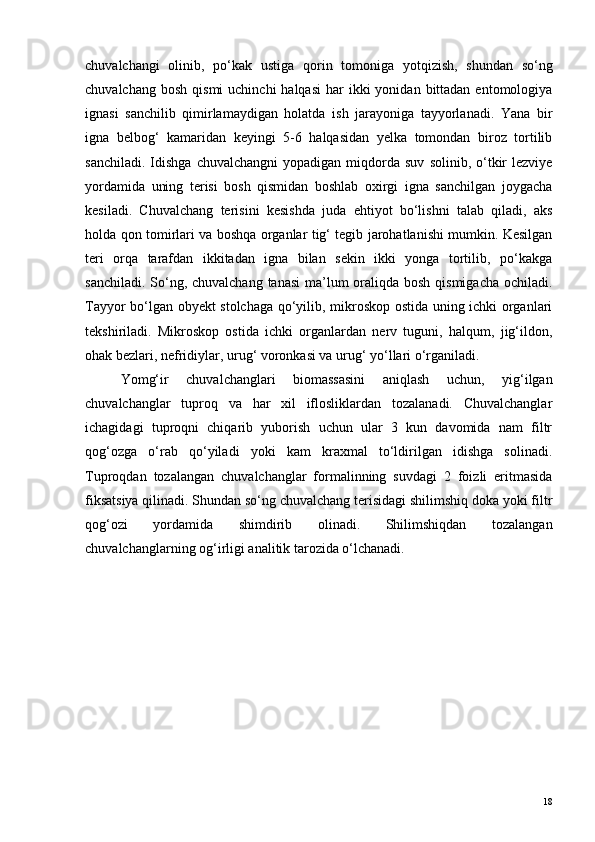 chuvalchangi   olinib,   po‘kak   ustiga   qorin   tomoniga   yotqizish,   shundan   so‘ng
chuvalchang  bosh  qismi   uchinchi  halqasi  har   ikki  yonidan  bittadan  entomologiya
ignasi   sanchilib   qimirlamaydigan   holatda   ish   jarayoniga   tayyorlanadi.   Yana   bir
igna   belbog‘   kamaridan   keyingi   5-6   halqasidan   yelka   tomondan   biroz   tortilib
sanchiladi.   Idishga   chuvalchangni  yopadigan  miqdorda  suv   solinib,  o‘tkir   lezviye
yordamida   uning   terisi   bosh   qismidan   boshlab   oxirgi   igna   sanchilgan   joygacha
kesiladi.   Chuvalchang   terisini   kesishda   juda   ehtiyot   bo‘lishni   talab   qiladi,   aks
holda qon tomirlari va boshqa organlar tig‘ tegib jarohatlanishi mumkin. Kesilgan
teri   orqa   tarafdan   ikkitadan   igna   bilan   sekin   ikki   yonga   tortilib,   po‘kakga
sanchiladi. So‘ng, chuvalchang tanasi  ma’lum oraliqda bosh qismigacha  ochiladi.
Tayyor bo‘lgan obyekt stolchaga qo‘yilib, mikroskop ostida uning ichki organlari
tekshiriladi.   Mikroskop   ostida   ichki   organlardan   nerv   tuguni,   halqum,   jig‘ildon,
ohak bezlari, nefridiylar, urug‘ voronkasi va urug‘ yo‘llari o‘rganiladi.
Yomg‘ir   chuvalchanglari   biomassasini   aniqlash   uchun,   yig‘ilgan
chuvalchanglar   tuproq   va   har   xil   iflosliklardan   tozalanadi.   Chuvalchanglar
ichagidagi   tuproqni   chiqarib   yuborish   uchun   ular   3   kun   davomida   nam   filtr
qog‘ozga   o‘rab   qo‘yiladi   yoki   kam   kraxmal   to‘ldirilgan   idishga   solinadi.
Tuproqdan   tozalangan   chuvalchanglar   formalinning   suvdagi   2   foizli   eritmasida
fiksatsiya qilinadi. Shundan so‘ng chuvalchang terisidagi shilimshiq doka yoki filtr
qog‘ozi   yordamida   shimdirib   olinadi.   Shilimshiqdan   tozalangan
chuvalchanglarning og‘irligi analitik tarozida o‘lchanadi.
18 