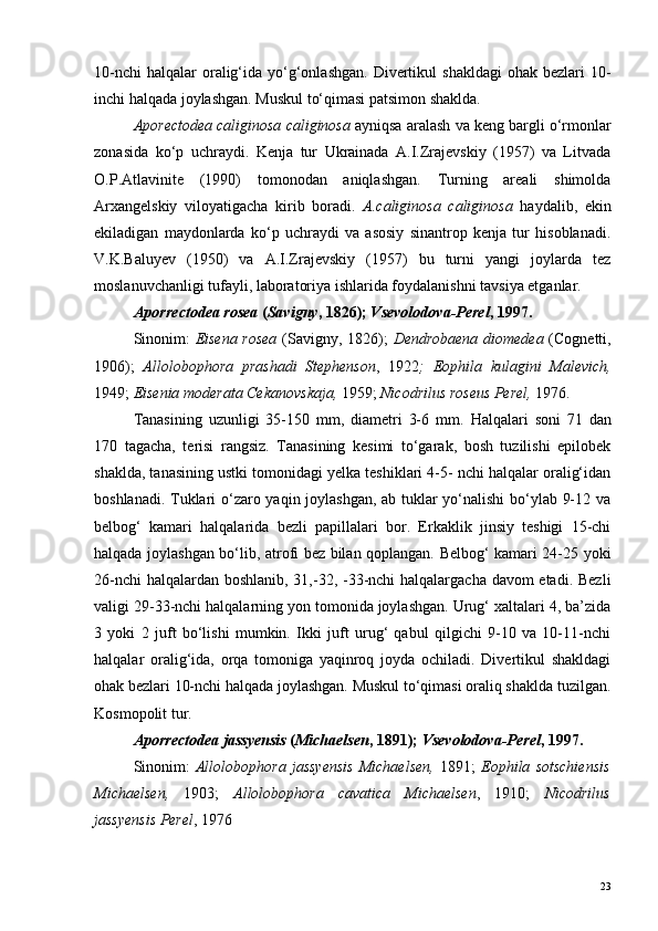 10-nchi   halqalar  oralig‘ida  yo‘g‘onlashgan.   Divertikul   shakldagi   ohak bezlari   10-
inchi halqada joylashgan. Muskul to‘qimasi patsimon shaklda.
Aporectodea   caliginosa   caliginosa   ayniqsa   aralash   va   keng   bargli   o ‘ rmonlar
zonasida   ko ‘ p   uchraydi .   Kenja   tur   Ukrainada   A.I.Zrajevskiy   (1957)   va   Litvada
O.P.Atlavinite   (1990)   tomonodan   aniqlashgan.   Turning   areali   shimolda
Arxangelskiy   viloyatigacha   kirib   boradi.   A.caliginosa   caliginosa   haydalib,   ekin
ekiladigan   maydonlarda   ko‘p   uchraydi   va   asosiy   sinantrop   kenja   tur   hisoblanadi.
V.K.Baluyev   (1950)   va   A.I.Zrajevskiy   (1957)   bu   turni   yangi   joylarda   tez
moslanuvchanligi tufayli, laboratoriya ishlarida foydalanishni tavsiya etganlar.
Aporrectodea rosea  ( Savigny , 1826);  Vsevolodova-Perel , 1997.
Sinonim:   Eisena rosea   (Savigny, 1826);   Dendrobaena diomedea   (Cognetti,
1906);   Allolobophora   prashadi   Stephenson ,   1922 ;   Eophila   kulagini   Malevich,
1949;  Eisenia moderata Cekanovskaja,  1959;  Nicodrilus roseus Perel,  1976.
Tanasining   uzunligi   35-150   mm,   diametri   3-6   mm.   Halqalari   soni   71   dan
170   tagacha,   terisi   rangsiz.   Tanasining   kesimi   to‘garak,   bosh   tuzilishi   epilobek
shaklda, tanasining ustki tomonidagi yelka teshiklari 4-5- nchi halqalar oralig‘idan
boshlanadi. Tuklari o‘zaro yaqin joylashgan, ab tuklar yo‘nalishi bo‘ylab 9-12 va
belbog‘   kamari   halqalarida   bezli   papillalari   bor.   Erkaklik   jinsiy   teshigi   15-chi
halqada joylashgan bo‘lib, atrofi bez bilan qoplangan. Belbog‘ kamari 24-25 yoki
26-nchi  halqalardan boshlanib, 31,-32, -33-nchi halqalargacha davom  etadi. Bezli
valigi 29-33-nchi halqalarning yon tomonida joylashgan. Urug‘ xaltalari 4, ba’zida
3   yoki   2   juft   bo‘lishi   mumkin.   Ikki   juft   urug‘   qabul   qilgichi   9-10   va   10-11-nchi
halqalar   oralig‘ida,   orqa   tomoniga   yaqinroq   joyda   ochiladi.   Divertikul   shakldagi
ohak bezlari 10-nchi halqada joylashgan. Muskul to‘qimasi oraliq shaklda tuzilgan.
Kosmopolit tur.
Aporrectodea jassyensis  ( Michaelsen , 1891);  Vsevolodova-Perel , 1997.
Sinonim:   Allolobophora   jassyensis   Michaelsen,   1891;   Eophila   sotschiensis
Michaelsen,   1903;   Allolobophora   cavatica   Michaelsen ,   1910;   Nicodrilus
jassyensis Perel , 1976
23 
