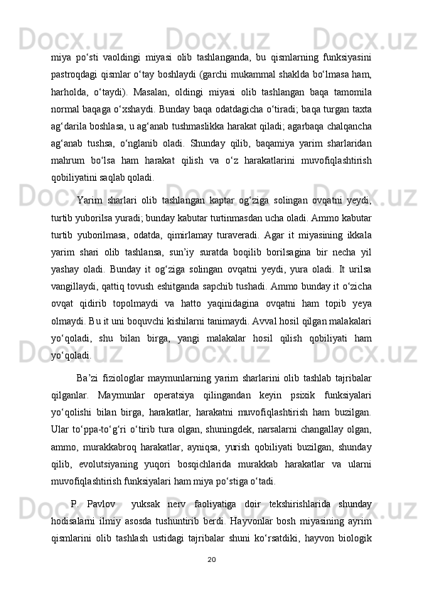 miya   po‘sti   vaoldingi   miyasi   olib   tashlanganda,   bu   qismlarning   funksiyasini
pastroqdagi qismlar o‘tay boshlaydi (garchi mukammal shaklda bo‘lmasa ham,
harholda,   o‘taydi).   Masalan,   oldingi   miyasi   olib   tashlangan   baqa   tamomila
normal baqaga o‘xshaydi. Bunday baqa odatdagicha o‘tiradi; baqa turgan taxta
ag‘darila boshlasa, u ag‘anab tushmaslikka harakat qiladi; agarbaqa chalqancha
ag‘anab   tushsa,   o‘nglanib   oladi.   Shunday   qilib,   baqamiya   yarim   sharlaridan
mahrum   bo‘lsa   ham   harakat   qilish   va   o‘z   harakatlarini   muvofiqlashtirish
qobiliyatini saqlab qoladi.
Yarim   sharlari   olib   tashlangan   kaptar   og‘ziga   solingan   ovqatni   yeydi,
turtib yuborilsa yuradi; bunday kabutar turtinmasdan ucha oladi. Ammo kabutar
turtib   yuborilmasa,   odatda,   qimirlamay   turaveradi.   Agar   it   miyasining   ikkala
yarim   shari   olib   tashlansa,   sun’iy   suratda   boqilib   borilsagina   bir   necha   yil
yashay   oladi.   Bunday   it   og‘ziga   solingan   ovqatni   yeydi,   yura   oladi.   It   urilsa
vangillaydi, qattiq tovush eshitganda sapchib tushadi. Ammo bunday it o‘zicha
ovqat   qidirib   topolmaydi   va   hatto   yaqinidagina   ovqatni   ham   topib   yeya
olmaydi. Bu it uni boquvchi kishilarni tanimaydi. Avval hosil qilgan malakalari
yo‘qoladi,   shu   bilan   birga,   yangi   malakalar   hosil   qilish   qobiliyati   ham
yo‘qoladi.
Ba’zi   fiziologlar   maymunlarning   yarim   sharlarini   olib   tashlab   tajribalar
qilganlar.   Maymunlar   operatsiya   qilingandan   keyin   psixik   funksiyalari
yo‘qolishi   bilan   birga,   harakatlar,   harakatni   muvofiqlashtirish   ham   buzilgan.
Ular   to‘ppa-to‘g‘ri   o‘tirib   tura   olgan,   shuningdek,   narsalarni   changallay   olgan,
ammo,   murakkabroq   harakatlar,   ayniqsa,   yurish   qobiliyati   buzilgan,   shunday
qilib,   evolutsiyaning   yuqori   bosqichlarida   murakkab   harakatlar   va   ularni
muvofiqlashtirish funksiyalari ham miya po‘stiga o‘tadi.
P.   Pavlov     yuksak   nerv   faoliyatiga   doir   tekshirishlarida   shunday
hodisalarni   ilmiy   asosda   tushuntirib   berdi.   Hayvonlar   bosh   miyasining   ayrim
qismlarini   olib   tashlash   ustidagi   tajribalar   shuni   ko‘rsatdiki,   hayvon   biologik
20 