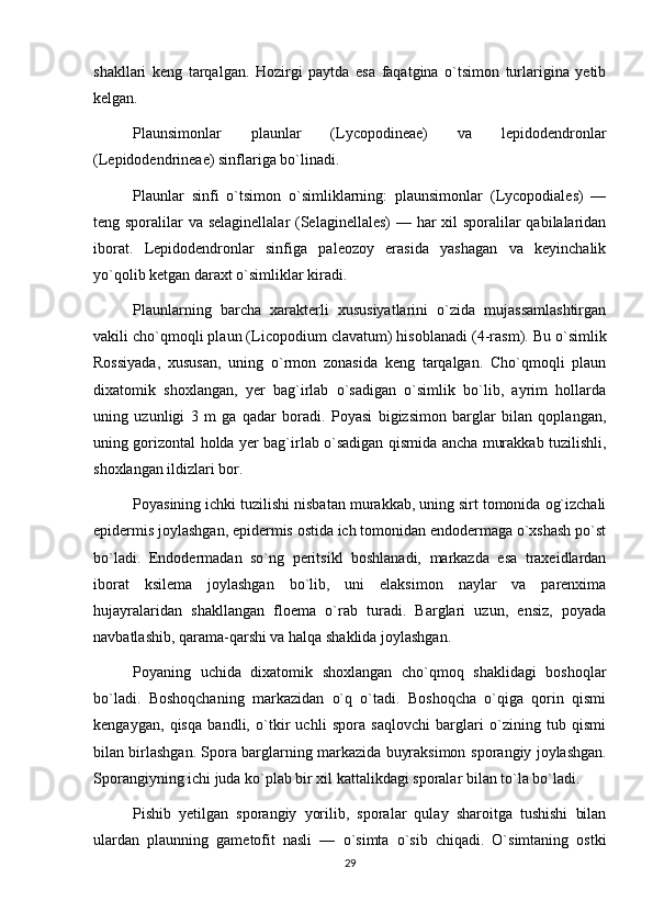 shakllari   keng   tarqalgan.   Hozirgi   paytda   esa   faqatgina   o`tsimon   turlarigina   yetib
kelgan.
Plaunsimonlar   plaunlar   (Lycopodineae)   va   lepidodendronlar
(Lepidodendrineae) sinflariga bo`linadi.
Plaunlar   sinfi   o`tsimon   o`simliklarning:   plaunsimonlar   (Lycopodiales)   —
teng sporalilar va selaginellalar  (Selaginellales)  — har xil sporalilar qabilalaridan
iborat.   Lepidodendronlar   sinfiga   paleozoy   erasida   yashagan   va   keyinchalik
yo`qolib ketgan daraxt o`simliklar kiradi.
Plaunlarning   barcha   xarakterli   xususiyatlarini   o`zida   mujassamlashtirgan
vakili  cho`qmoqli plaun  (Licopodium clavatum) hisoblanadi  ( 4-rasm ) . Bu o`simlik
Rossiyada,   xususan,   uning   o`rmon   zonasida   keng   tarqalgan.   Cho`qmoqli   plaun
dixatomik   shoxlangan,   yer   bag`irlab   o`sadigan   o`simlik   bo`lib,   ayrim   hollarda
uning   uzunligi   3   m   ga   qadar   boradi.   Poyasi   bigizsimon   barglar   bilan   qoplangan,
uning gorizontal holda yer bag`irlab o`sadigan qismida ancha murakkab tuzilishli,
shoxlangan ildizlari bor.
Poyasining ichki tuzilishi nisbatan murakkab, uning sirt tomonida og`izchali
epidermis joylashgan, epidermis ostida ich tomonidan endodermaga o`xshash po`st
bo`ladi.   Endodermadan   so`ng   peritsikl   boshlanadi,   markazda   esa   traxeidlardan
iborat   ksilema   joylashgan   bo`lib,   uni   elaksimon   naylar   va   parenxima
hujayralaridan   shakllangan   floema   o`rab   turadi.   Barglari   uzun,   ensiz,   poyada
navbatlashib, qarama-qarshi va halqa shaklida joylashgan.
Poyaning   uchida   dixatomik   shoxlangan   cho`qmoq   shaklidagi   boshoqlar
bo`ladi.   Boshoqchaning   markazidan   o`q   o`tadi.   Boshoqcha   o`qiga   qorin   qismi
kengaygan,   qisqa   bandli,   o`tkir   uchli   spora   saqlovchi   barglari   o`zining   tub   qismi
bilan birlashgan. Spora barglarning markazida buyraksimon   sporangiy  joylashgan.
Sporangiyning ichi juda ko`plab bir xil kattalikdagi sporalar bilan to`la bo`ladi.
Pishib   yetilgan   sporangiy   yorilib,   sporalar   qulay   sharoitga   tushishi   bilan
ulardan   plaunning   gametofit   nasli   —   o`simta   o`sib   chiqadi.   O`simtaning   ostki
29 