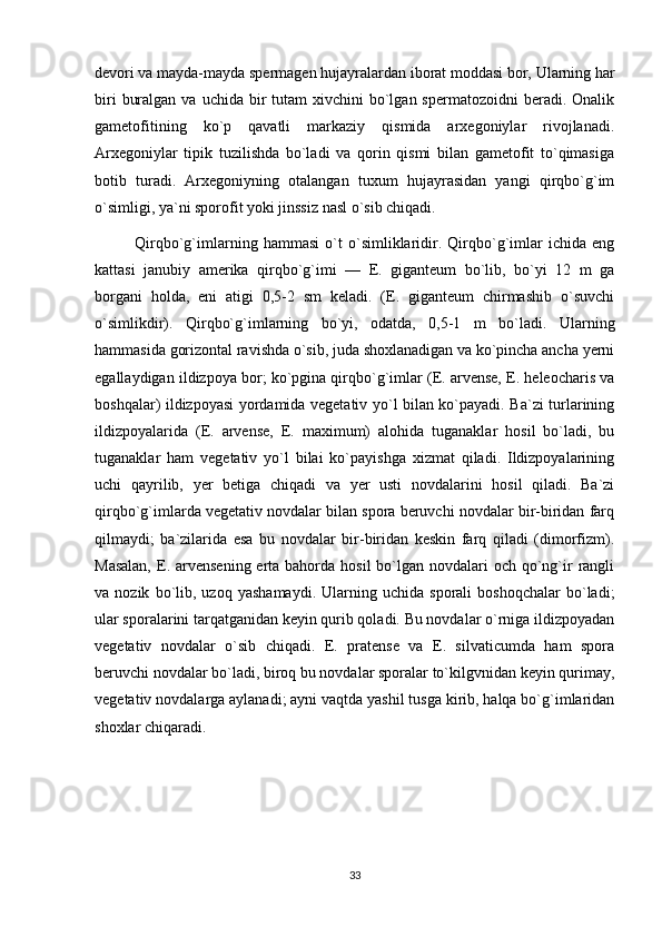 devori va mayda-mayda spermagen hujayralardan iborat moddasi bor, Ularning har
biri   buralgan  va  uchida bir  tutam   xivchini  bo`lgan spermatozoidni  beradi.  Onalik
gametofitining   ko`p   qavatli   markaziy   qismida   arxegoniylar   rivojlanadi.
Arxegoniylar   tipik   tuzilishda   bo`ladi   va   qorin   qismi   bilan   gametofit   to`qimasiga
botib   turadi.   Arxegoniyning   otalangan   tuxum   hujayrasidan   yangi   qirqbo`g`im
o`simligi, ya`ni sporofit yoki jinssiz nasl o`sib chiqadi.
Qirqbo`g`imlarning   hammasi   o`t   o`simliklaridir.   Qirqbo`g`imlar   ichida   eng
kattasi   janubiy   amerika   qirqbo`g`imi   —   E.   giganteum   bo`lib,   bo`yi   12   m   ga
borgani   holda,   eni   atigi   0,5-2   sm   keladi.   (E.   giganteum   chirmashib   o`suvchi
o`simlikdir).   Qirqbo`g`imlarning   bo`yi,   odatda,   0,5-1   m   bo`ladi.   Ularning
hammasida gorizontal ravishda o`sib, juda shoxlanadigan va ko`pincha ancha yerni
egallaydigan ildizpoya bor; ko`pgina qirqbo`g`imlar (E. arvense, E. heleocharis va
boshqalar) ildizpoyasi yordamida vegetativ yo`l bilan ko`payadi. Ba`zi turlarining
ildizpoyalarida   (E.   arvense,   E.   maximum)   alohida   tuganaklar   hosil   bo`ladi,   bu
tuganaklar   ham   vegetativ   yo`l   bilai   ko`payishga   xizmat   qiladi.   Ildizpoyalarining
uchi   qayrilib,   yer   betiga   chiqadi   va   yer   usti   novdalarini   hosil   qiladi.   Ba`zi
qirqbo`g`imlarda vegetativ novdalar bilan spora beruvchi novdalar bir-biridan farq
qilmaydi;   ba`zilarida   esa   bu   novdalar   bir-biridan   keskin   farq   qiladi   (dimorfizm).
Masalan,   E . arvensening erta bahorda hosil  bo`lgan novdalari  och qo`ng`ir  rangli
va  nozik   bo`lib,   uzoq   yashamaydi.   Ularning  uchida   sporali   boshoqchalar   bo`ladi;
ular sporalarini tarqatganidan keyin qurib qoladi. Bu novdalar o`rniga ildizpoyadan
vegetativ   novdalar   o`sib   chiqadi.   E.   pratense   va   E.   silvaticumda   ham   spora
beruvchi novdalar bo`ladi, biroq bu novdalar sporalar to`kilgvnidan keyin qurimay,
vegetativ novdalarga aylanadi; ayni vaqtda yashil tusga kirib, halqa bo`g`imlaridan
shoxlar chiqaradi.
33