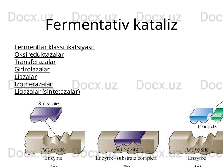 Fermentativ kataliz
Fermentlar klassifikatsiyasi:
Oksireduktazalar
Transferazalar
Gidrolazalar
Liazalar
Izomerazalar
Ligazalar (sintetazalar) 