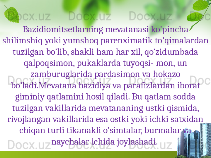 Bazidiom i tsetlarning mevatanasi ko'pincha 
shilimshi q  yoki yumsho q  parenximatik t o ’ q imalardan 
tuzilgan bo’lib, shakli  h am  h ar xil,  q o’zidumbada 
q alpoqsimon, pukaklarda tuyo q si- mon, un 
zamburuglarida pardasimon va  h okazo 
b o ’ladi. Mevatana bazidiya va parafizlardan iborat 
giminiy qatlamini hosil qiladi. Bu qatlam sodda 
tuzilgan vakillarida mevatananing ustki qismida, 
rivojlangan vakillarida esa ostki yoki ichki satxidan 
chiqan turli tikanakli o’simtalar, burmalar va 
naychalar ichida joylashadi.  